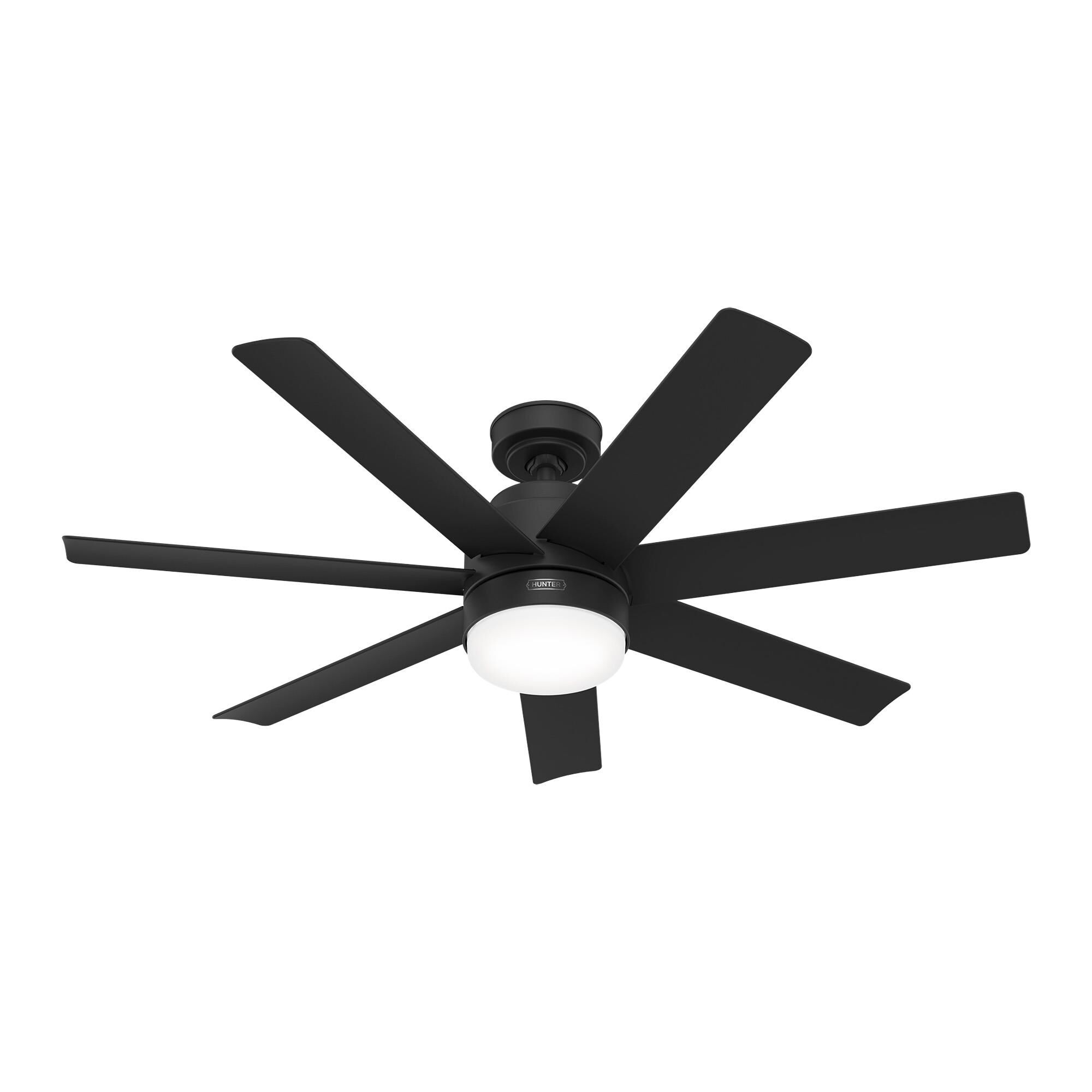 Brazos 52 Inch Ceiling Fan by Hunter Fan