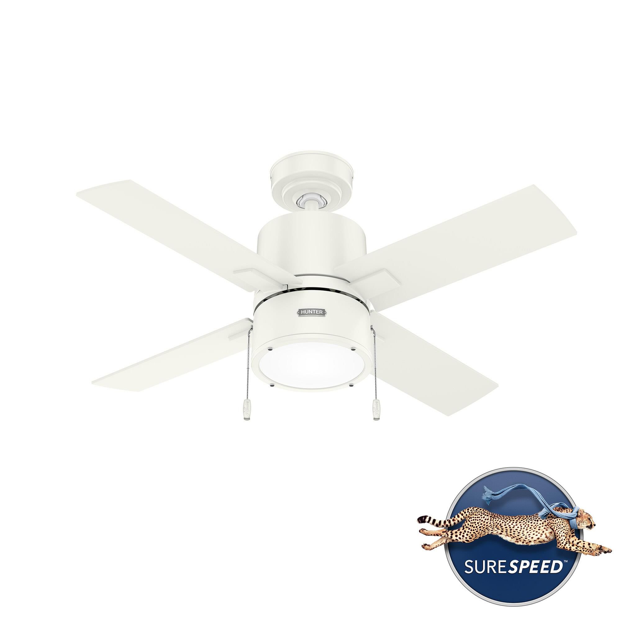 Beck Ceiling Fan by Hunter Fan