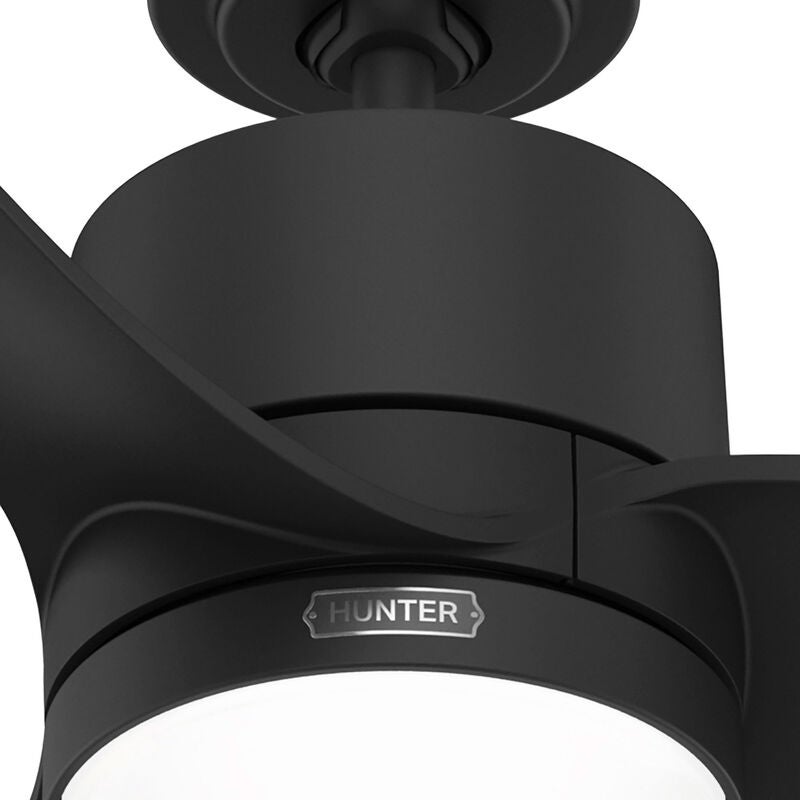 Bolsa 60 Inch Ceiling Fan with Light Kit by Hunter Fan
