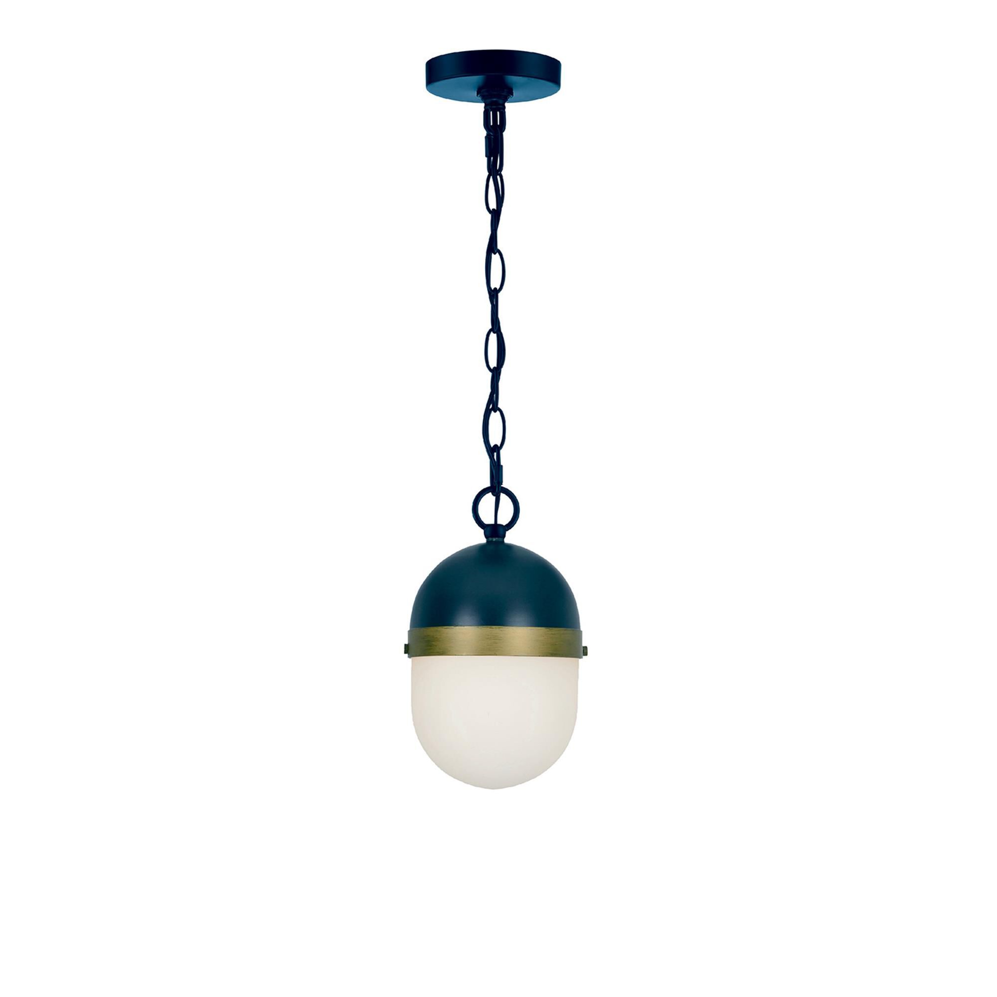 Brian Patrick Flynn Capsule Medium Outdoor Hanging Lantern,