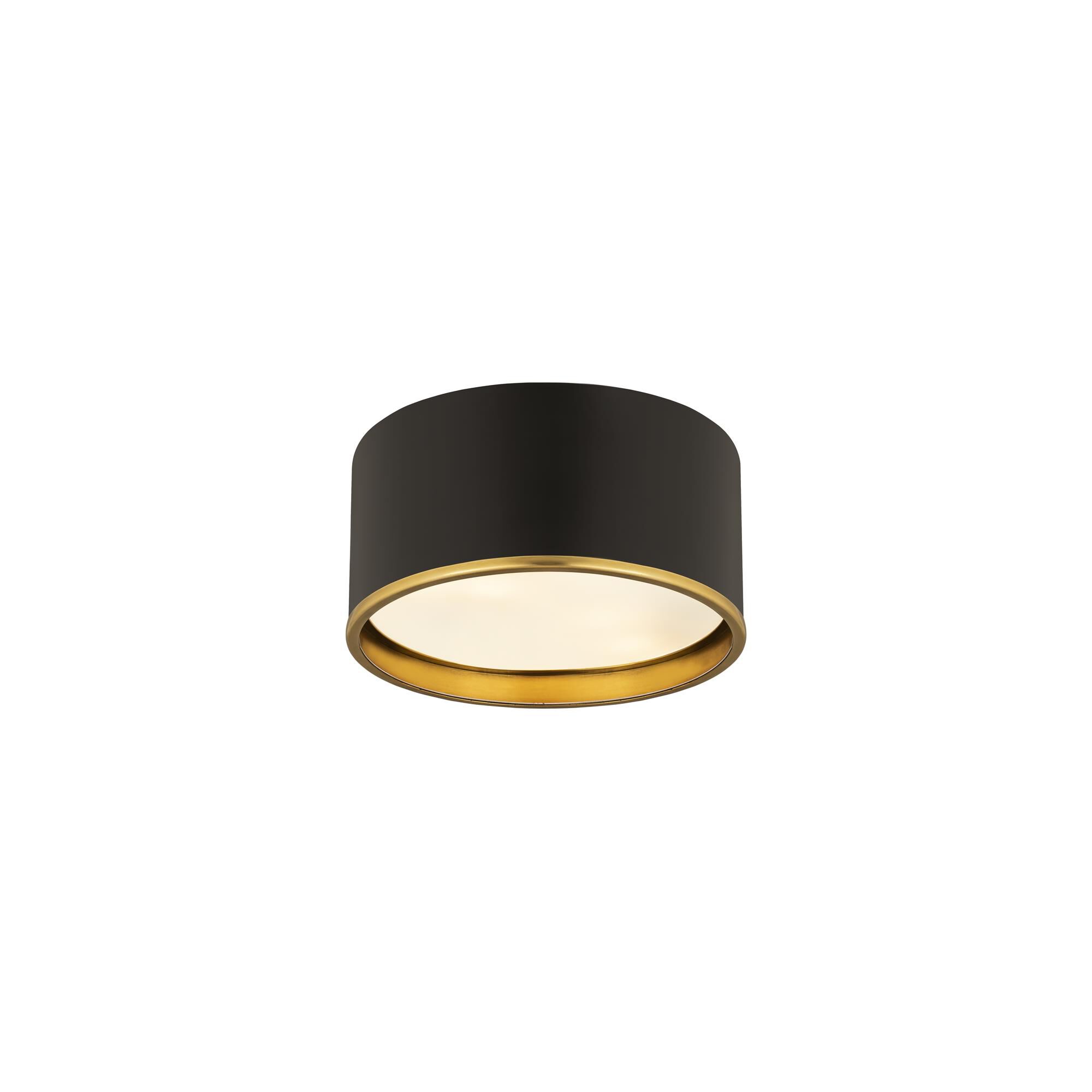 Shown in Matte Black And Rubbed Brass finish and Steel glass and Steel shade