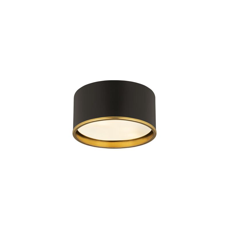 Arlo 12 Inch 2 Light Flush Mount by Z-Lite