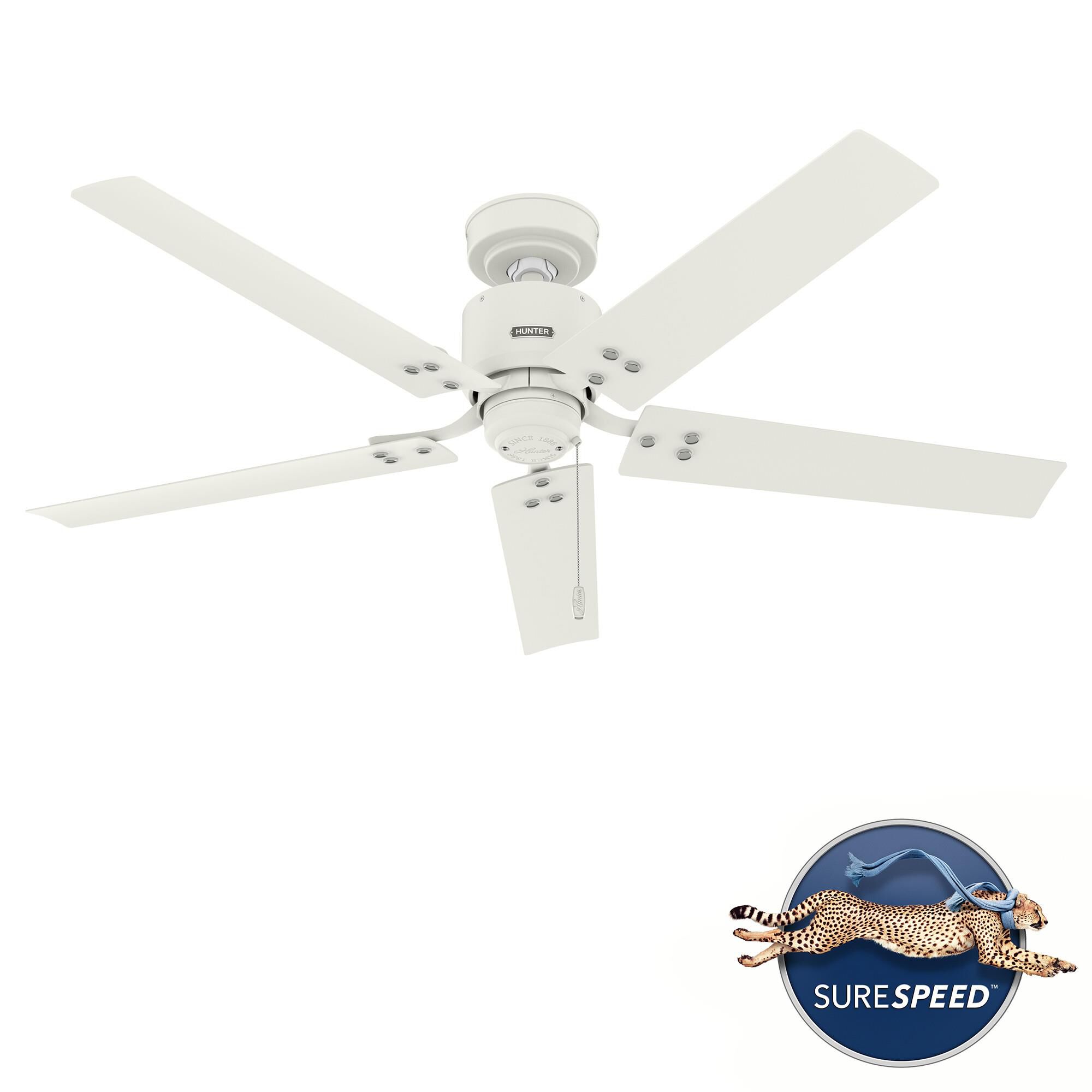 Windbound 52 Inch Ceiling Fan by Hunter Fan