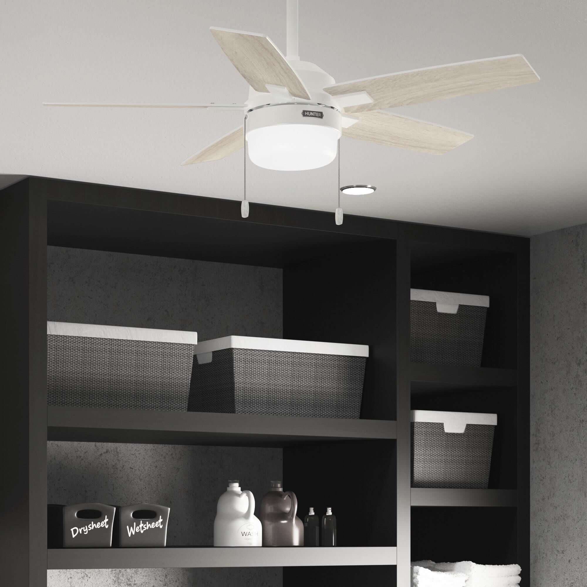 Anisten 44 Inch Ceiling Fan with Light Kit by Hunter Fan