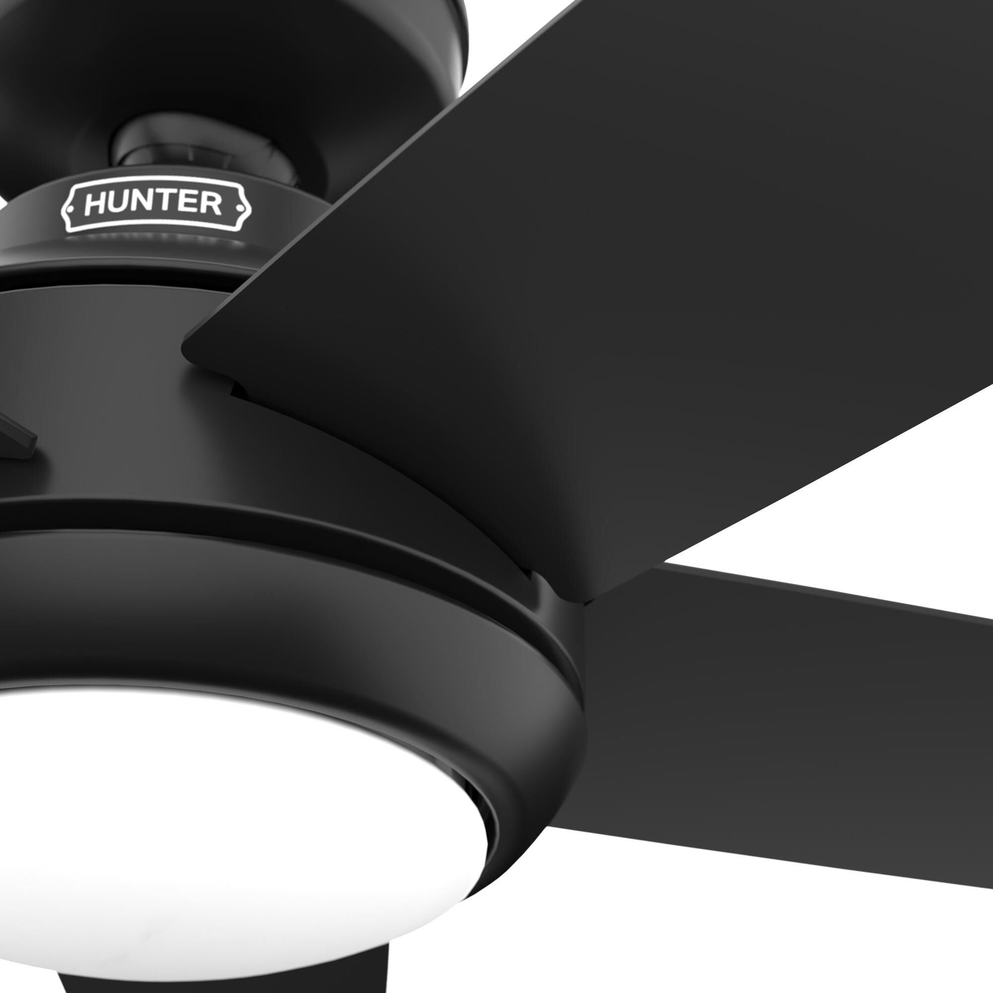 Zayden 52 Inch Ceiling Fan with Light Kit by Hunter Fan