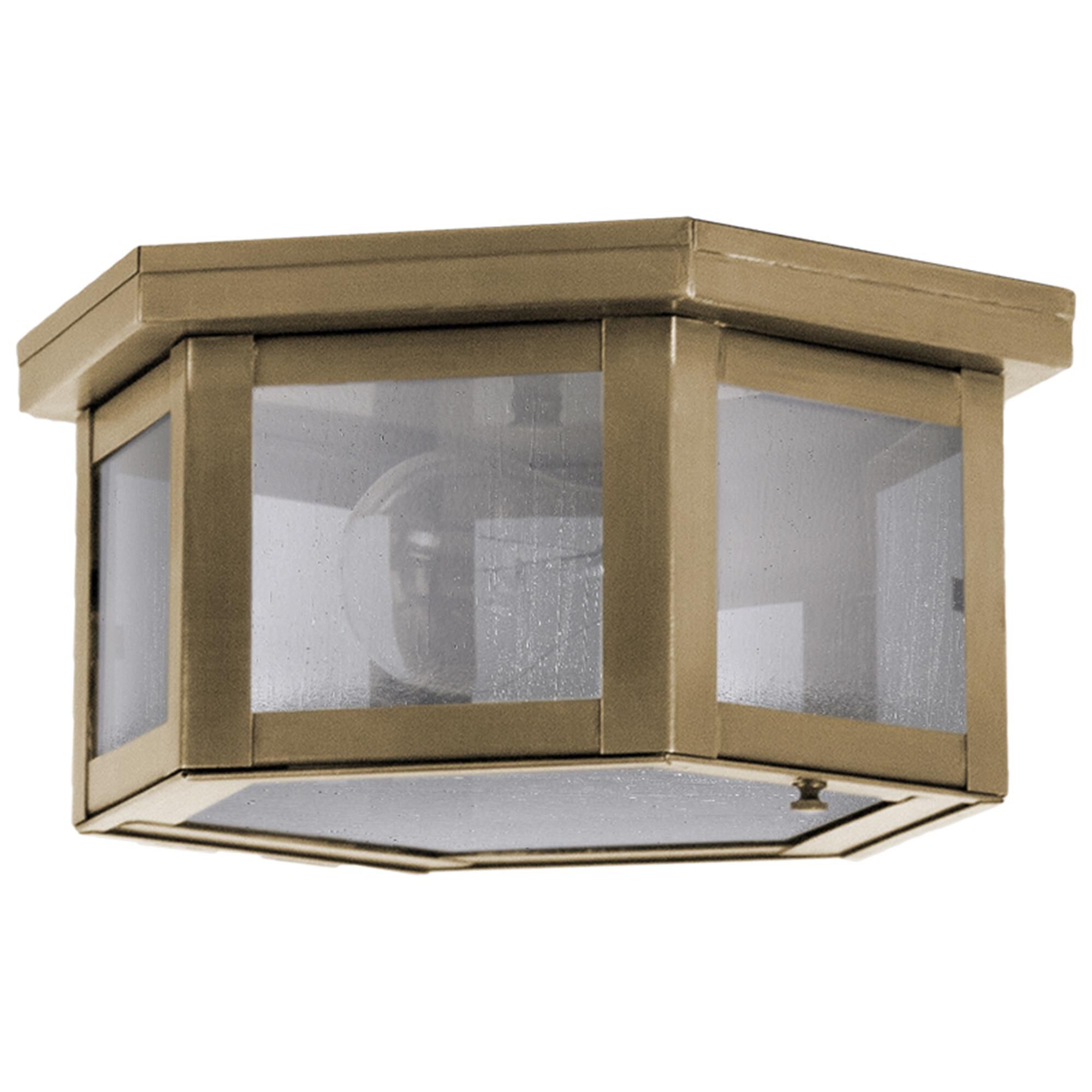 Williams 10 Inch Outdoor Flush Mount,
