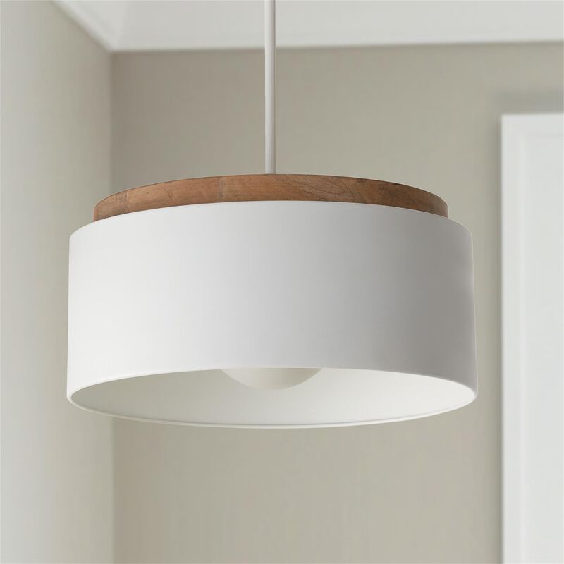 Liam 18 Inch Large Pendant by Capital Lighting Fixture Company