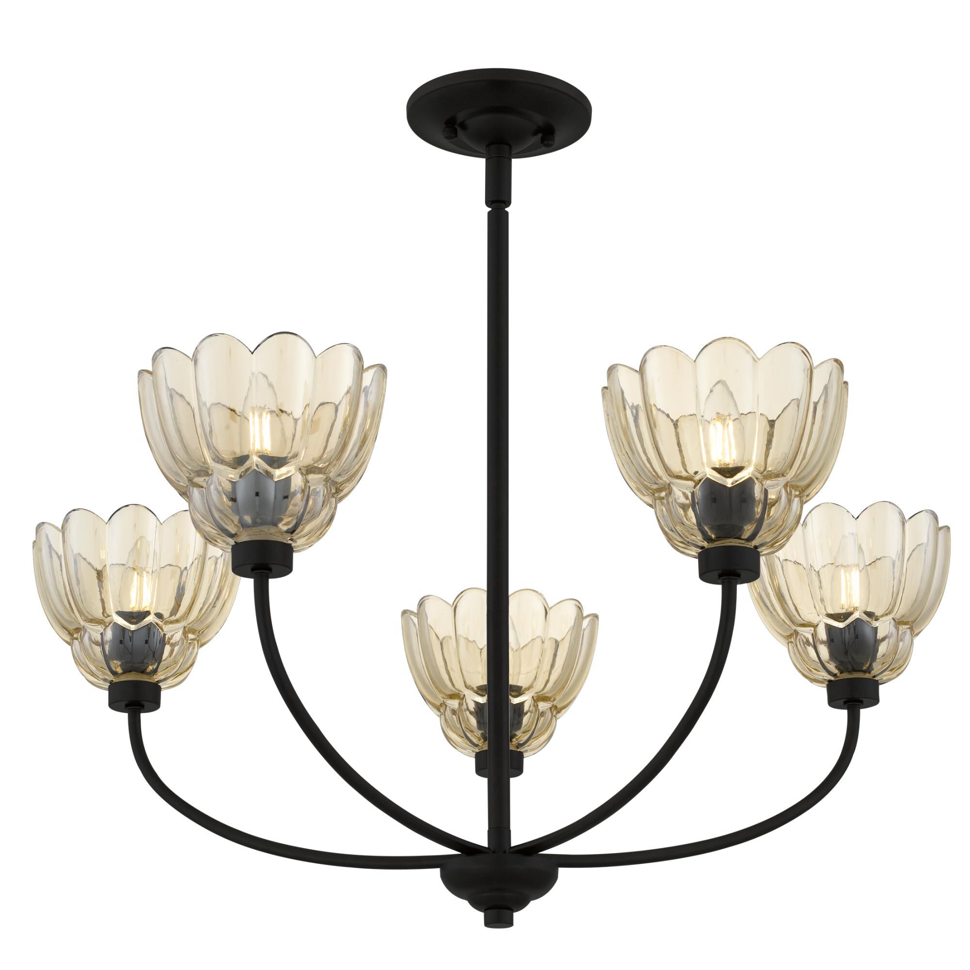 Whitecap 28 Inch 5 Light Chandelier by Quoizel