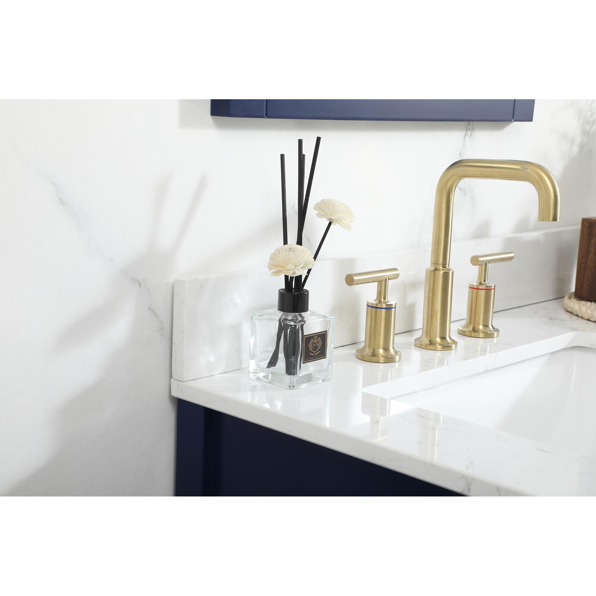 Larkin 60 Inch Bath Vanity by Elegant Decor