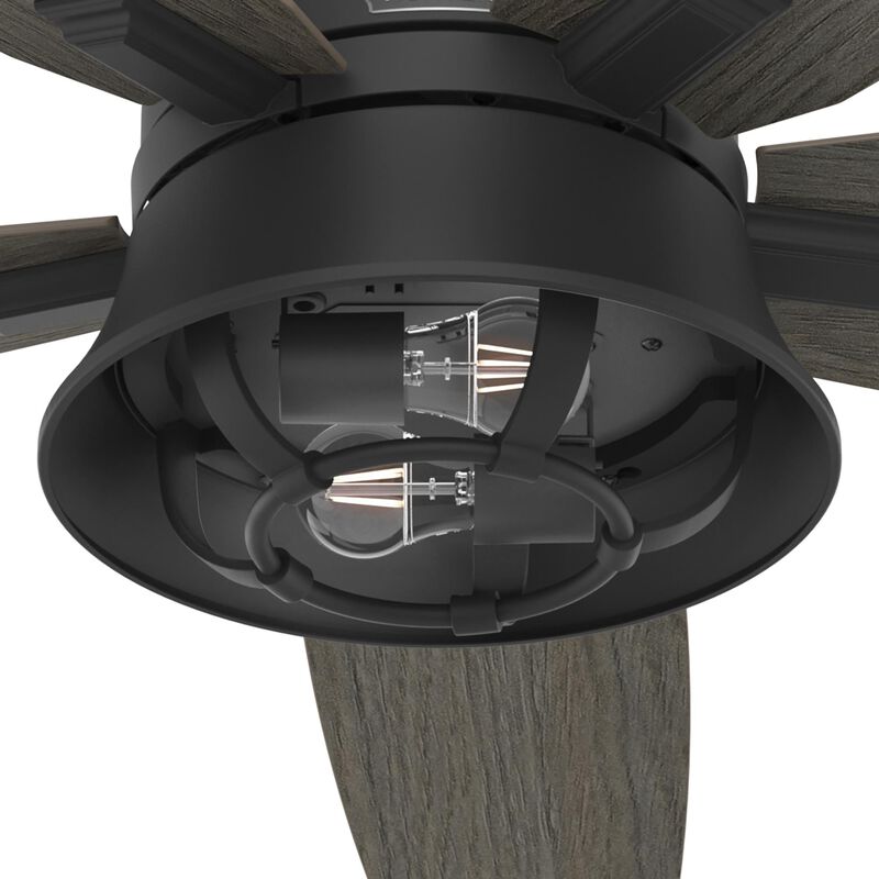 Hampshire 52 Inch Ceiling Fan with Light Kit by Hunter Fan