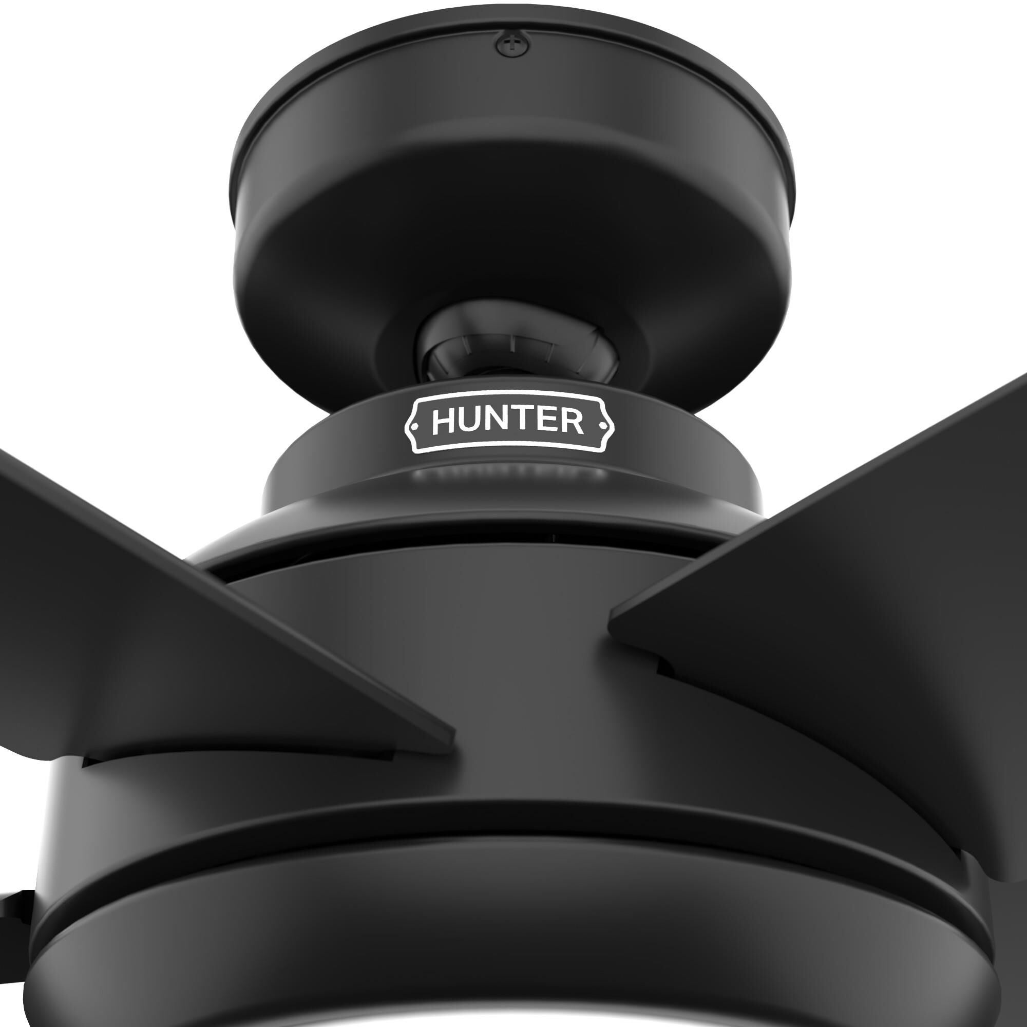 Zayden 52 Inch Ceiling Fan with Light Kit by Hunter Fan