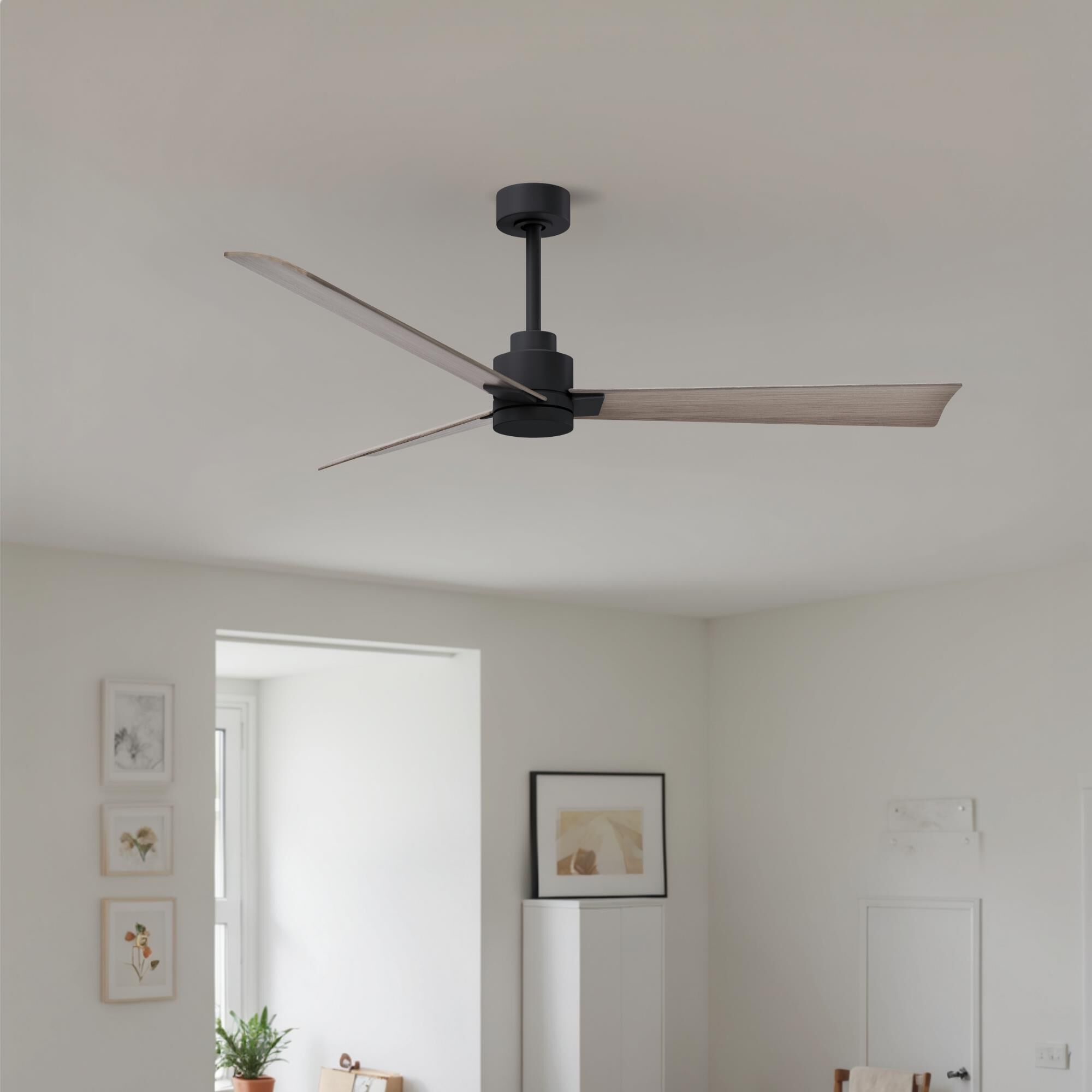 Alessandra 56 Inch Ceiling Fan by Matthews Fan Company