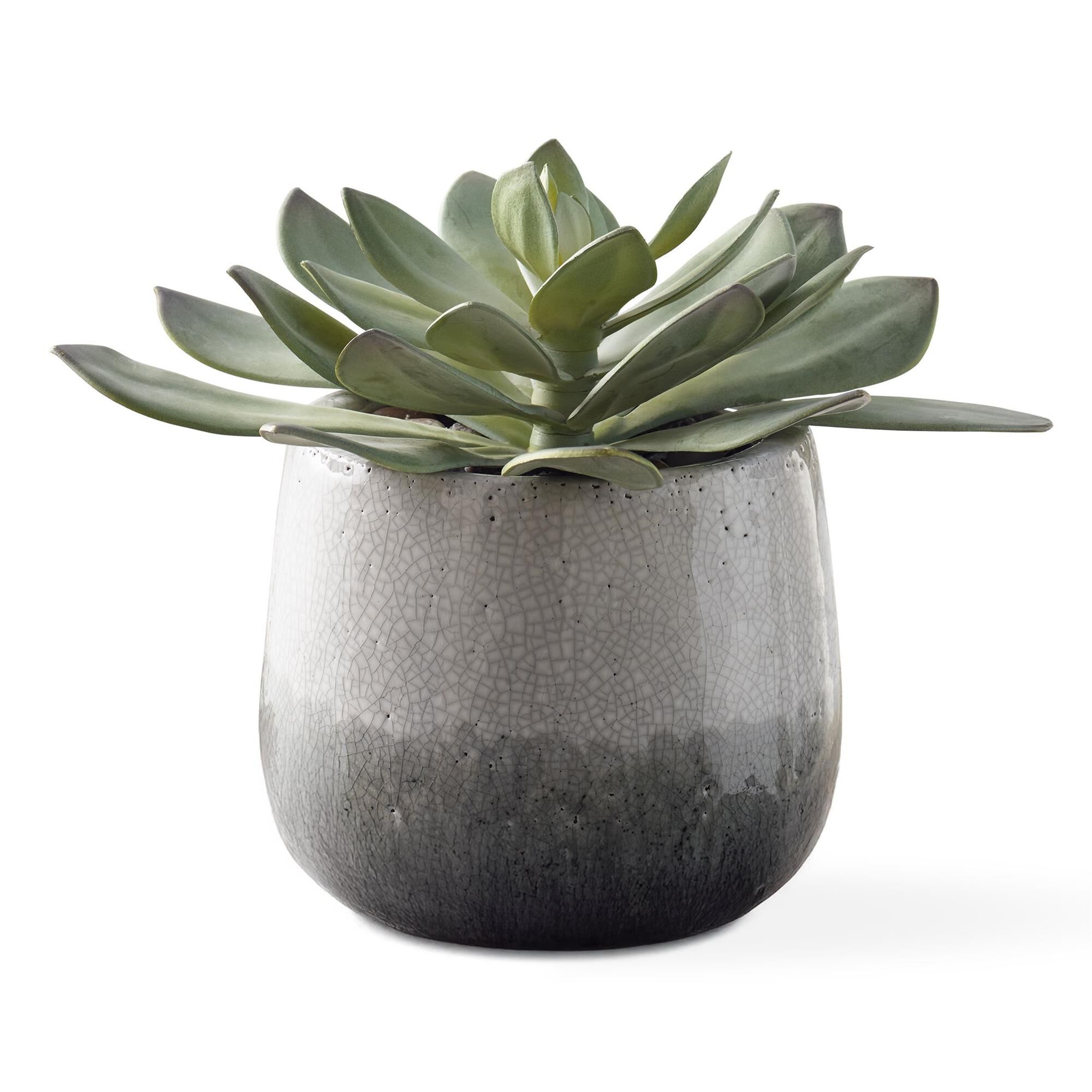 Shown in Gray, Green finish