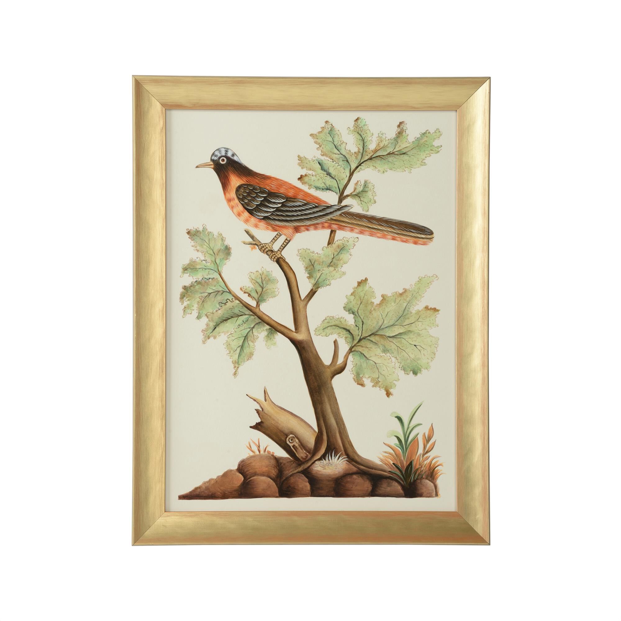 Bill Cain Watercolor Birds F Painting by Chelsea House