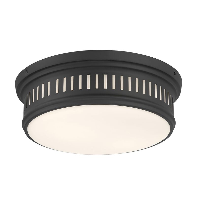 Velune 14 Inch Flush Mount by Millennium Lighting