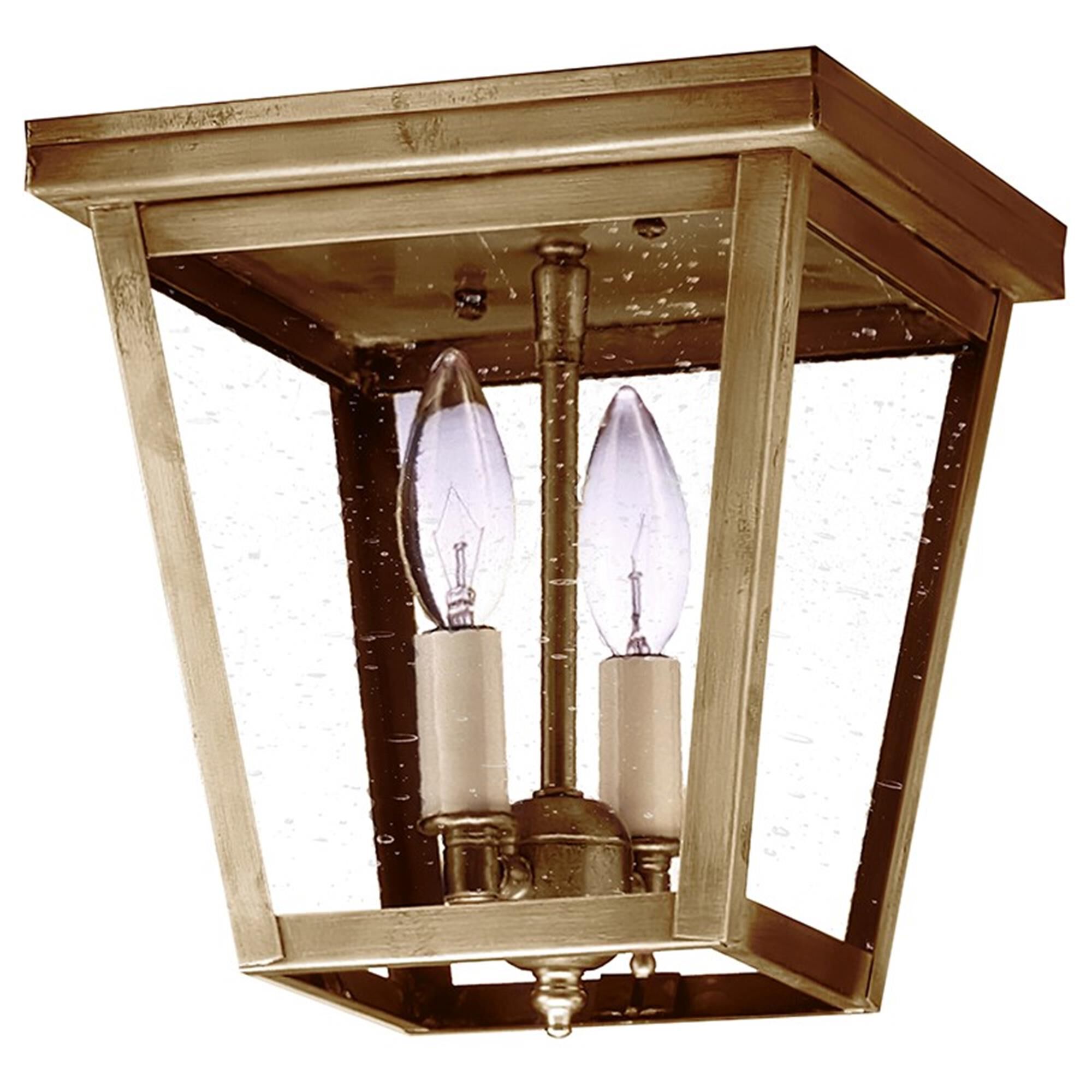 Williams 8 Inch 2 Light Outdoor Flush Mount,