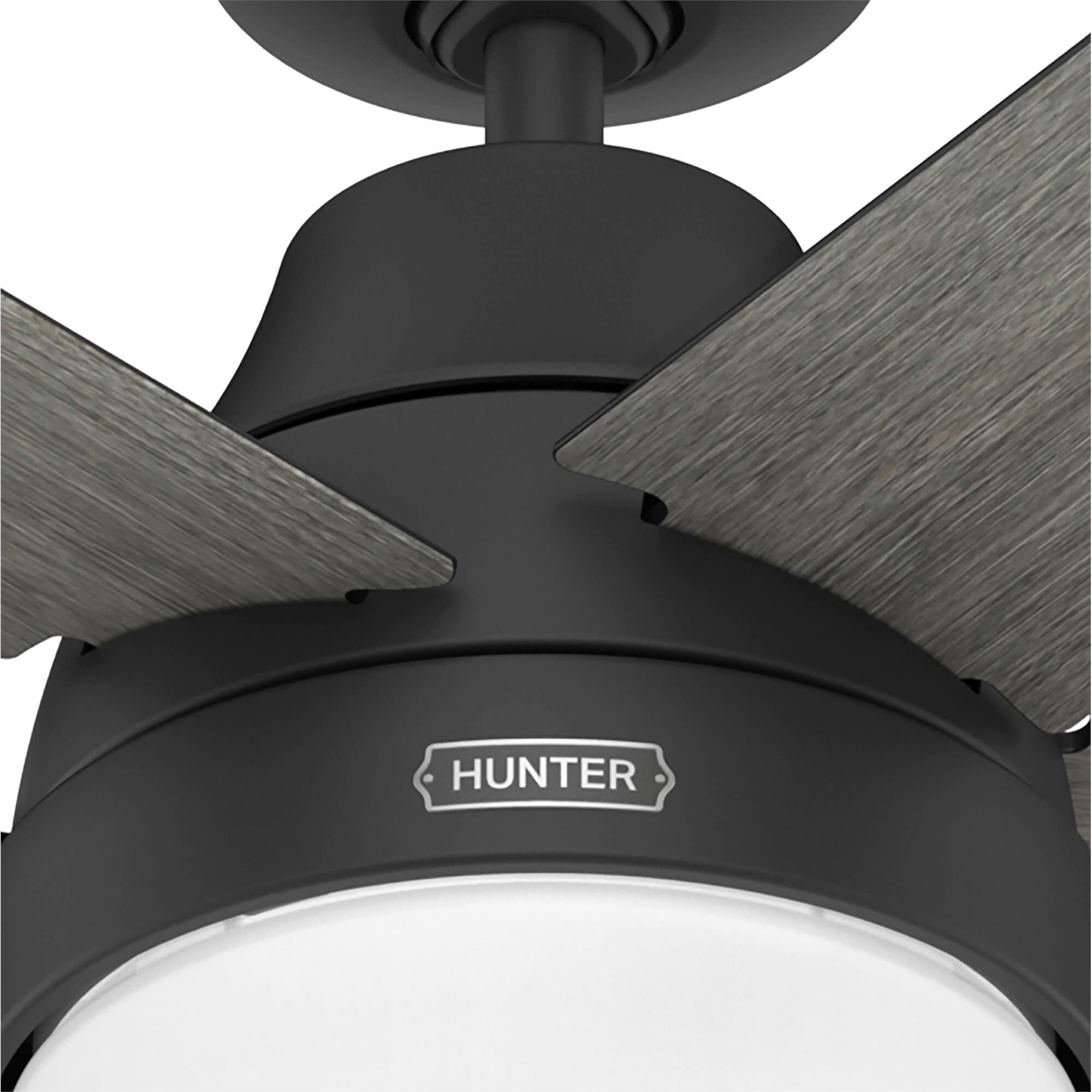 Aerodyne 60 Inch Ceiling Fan with Light Kit,