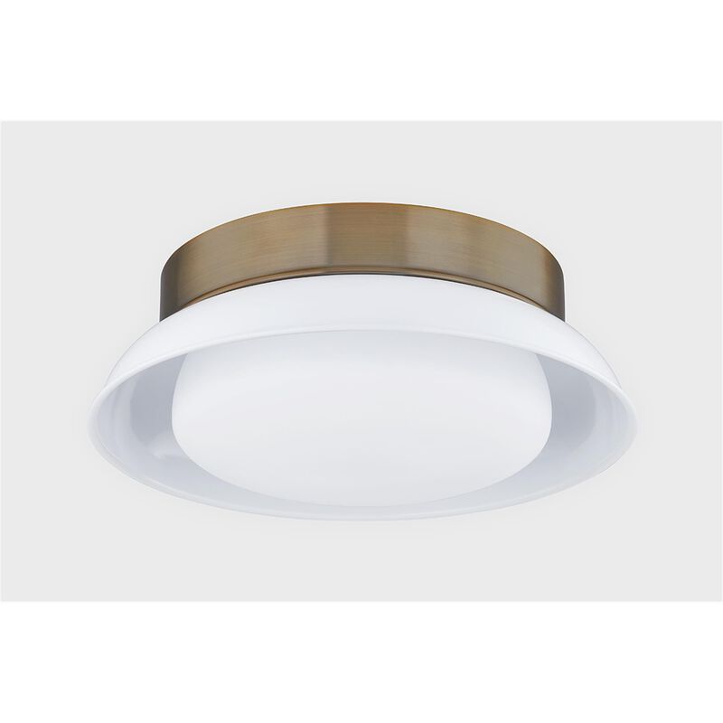 Arnie 14 Inch 2 Light Flush Mount by Troy Lighting
