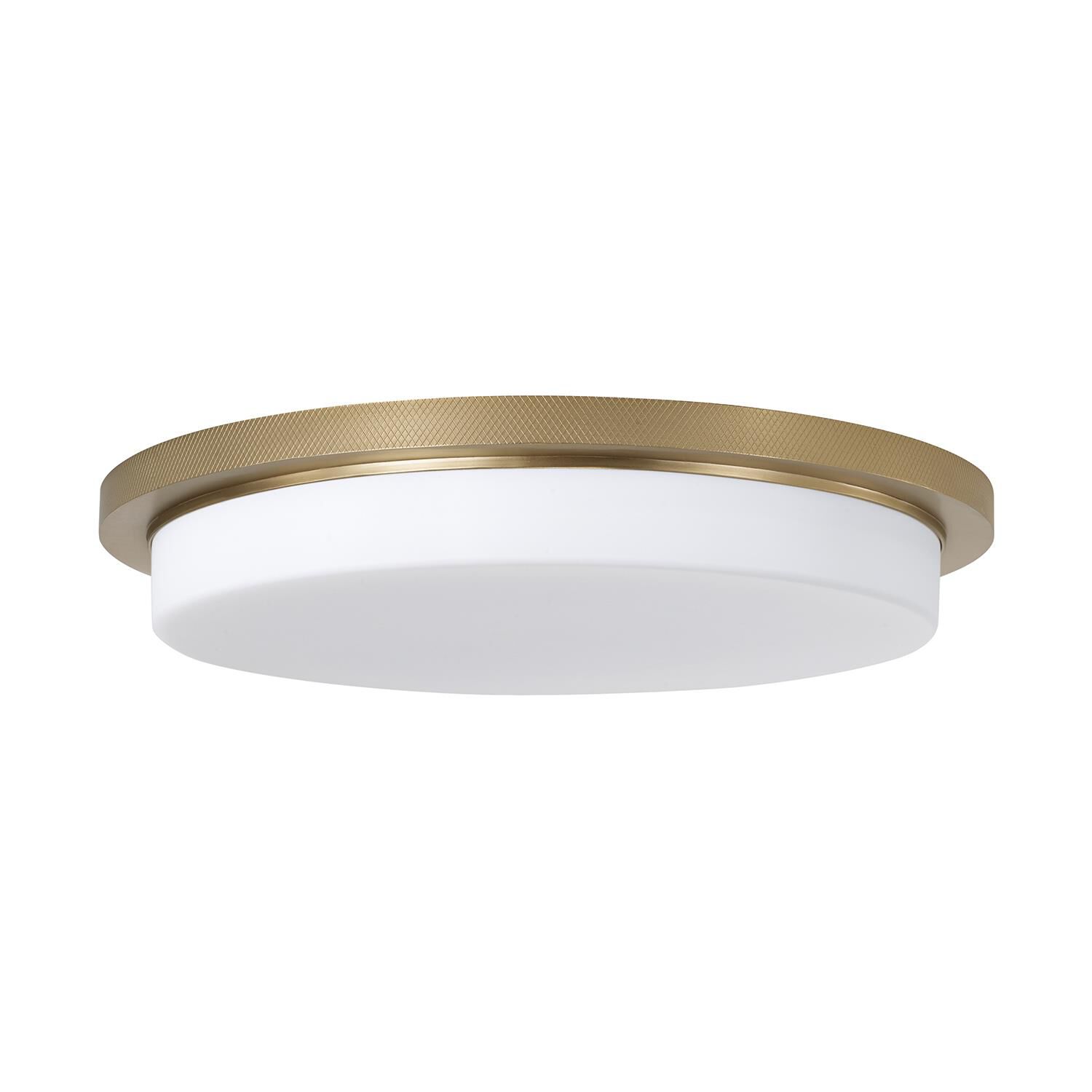 Dominic 16 Inch Flush Mount by Capital Lighting