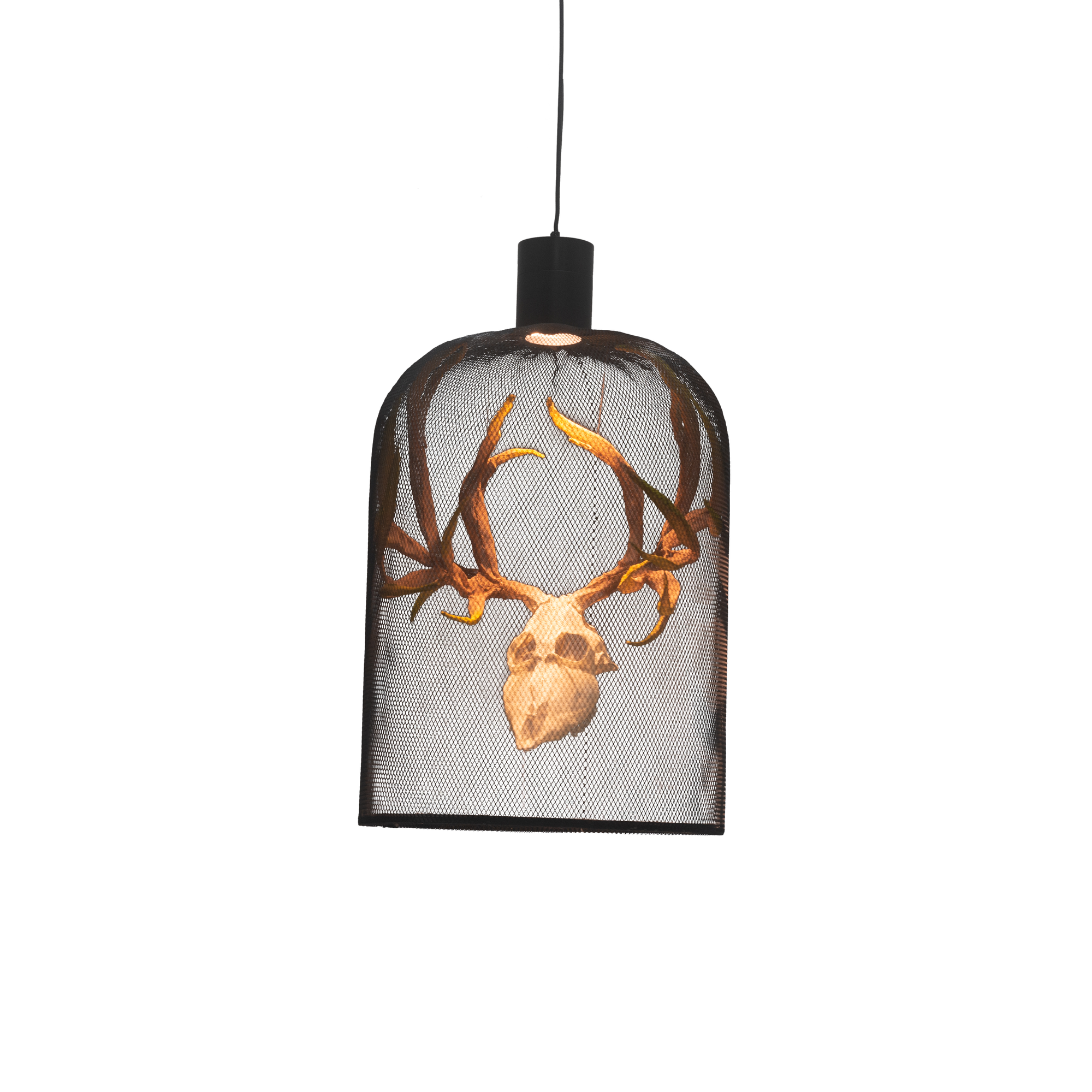 Curio 33 Inch Pendant Light,