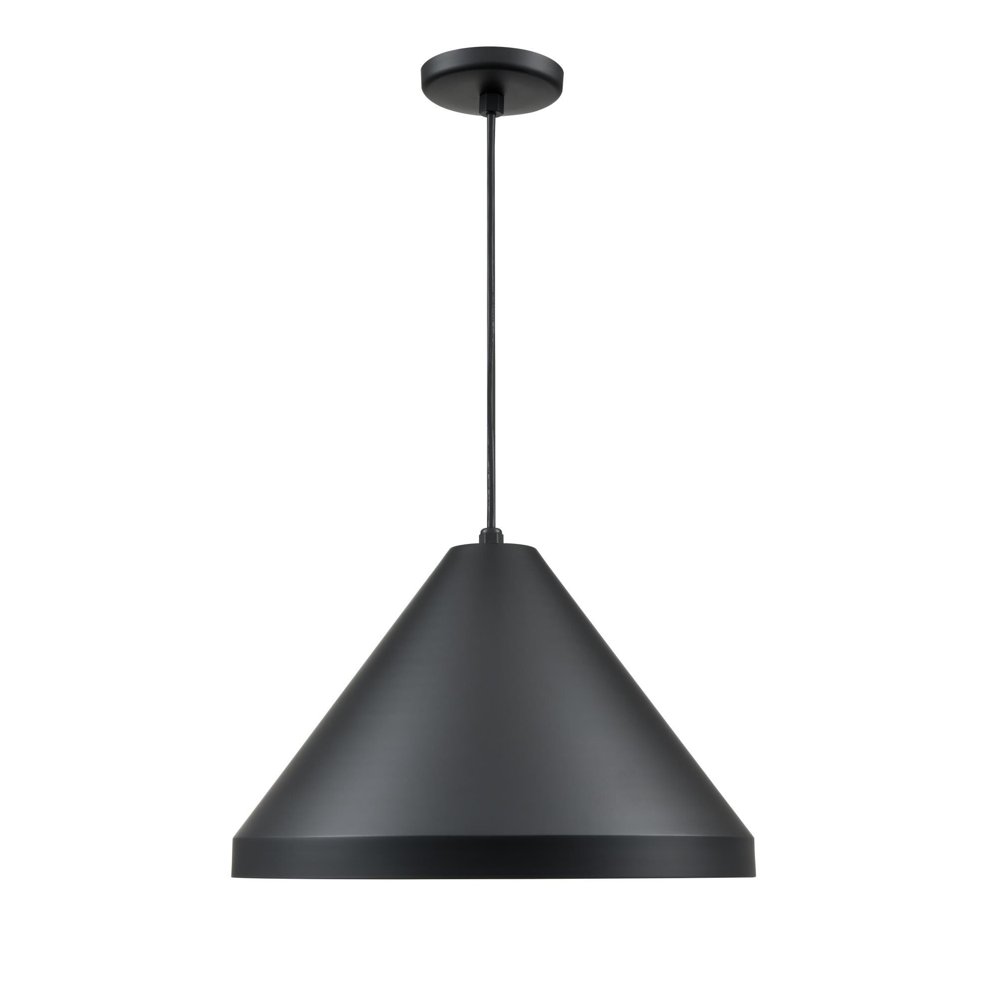 R Series 11 Inch Large Pendant by Millenium Lighting