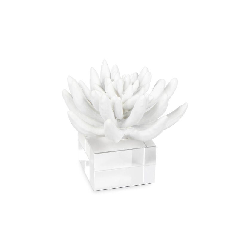 Succulent Sculpture by Regina Andrew