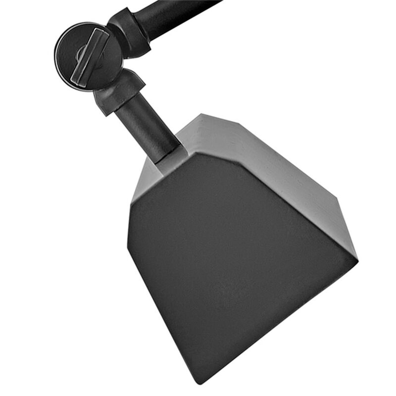 Arti 20 Inch Picture Light by Hinkley