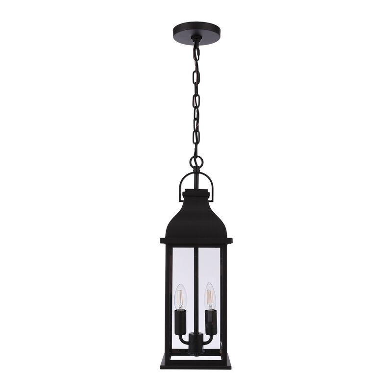 Bent Tree Medium Outdoor Hanging Lantern by Craftmade