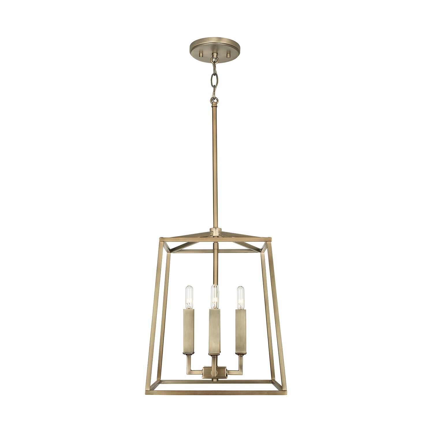 Thea 12 Inch Cage Pendant by Capital Lighting Fixture Company