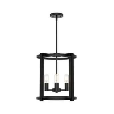 Astwood 16 Inch 4 Light Mini Chandelier by Hunter Fan