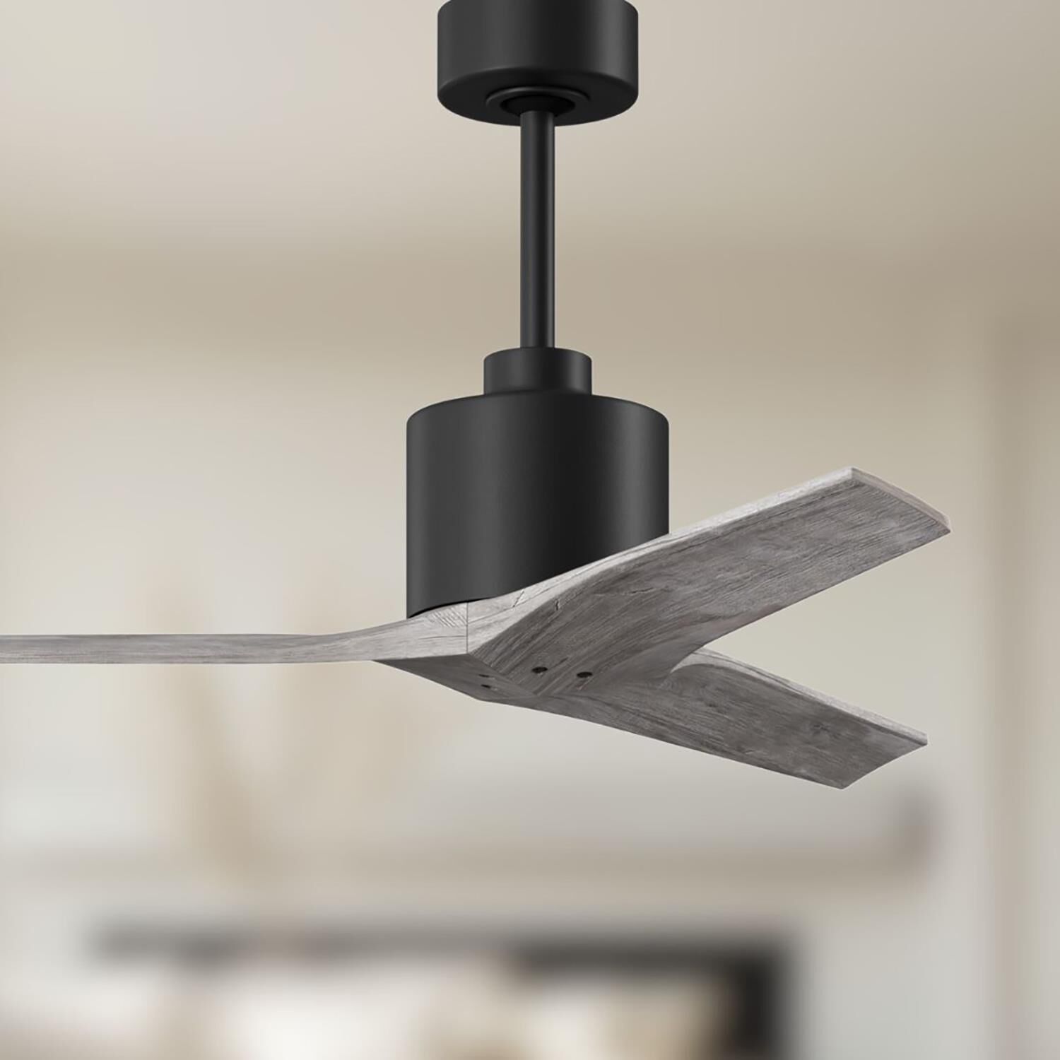 Mollywood 42 Inch Ceiling Fan by Matthews Fan Company