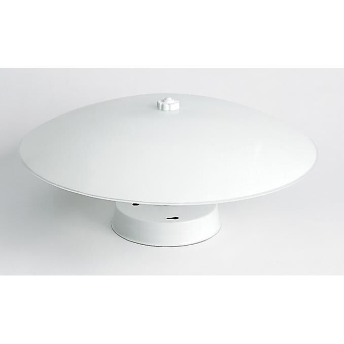 12 Inch 2 Light Flush Mount by Nuvo Lighting