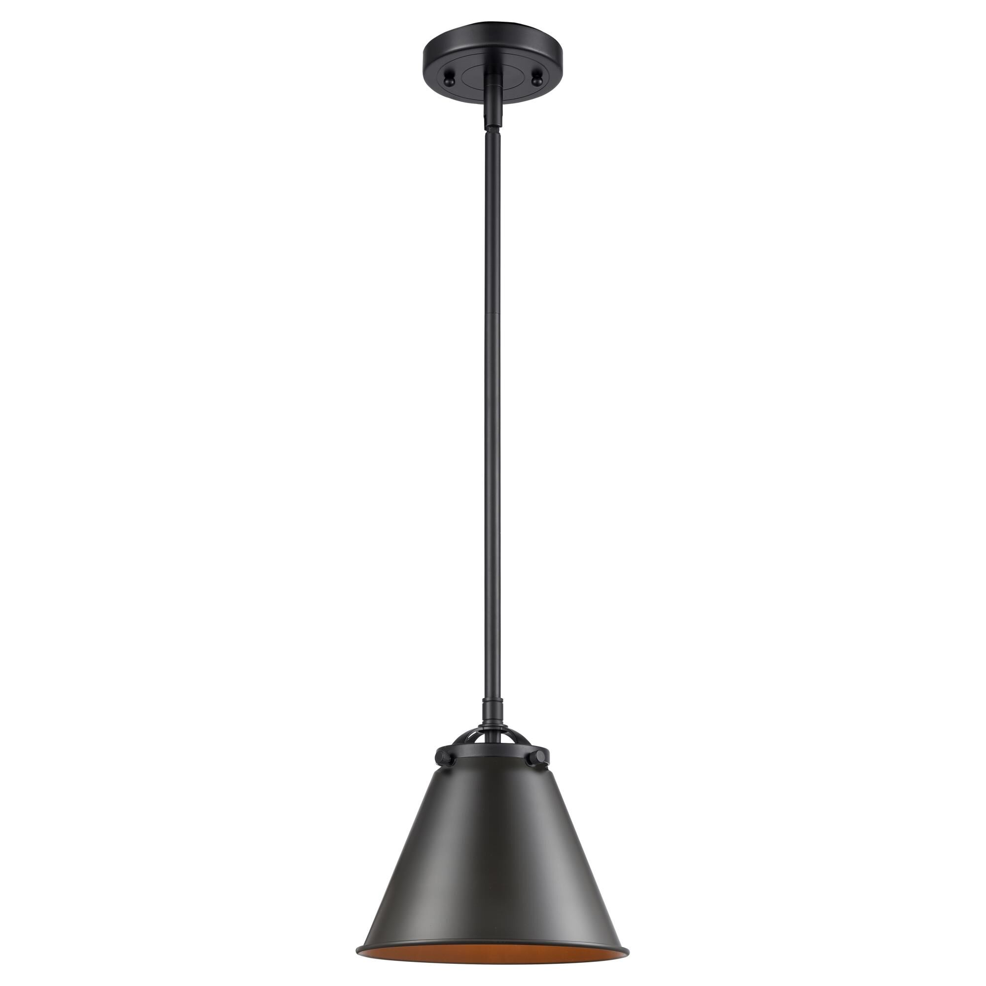 Innovations Lighting Bruno Marashlian Appalachian 8 Inch Mini Pendant