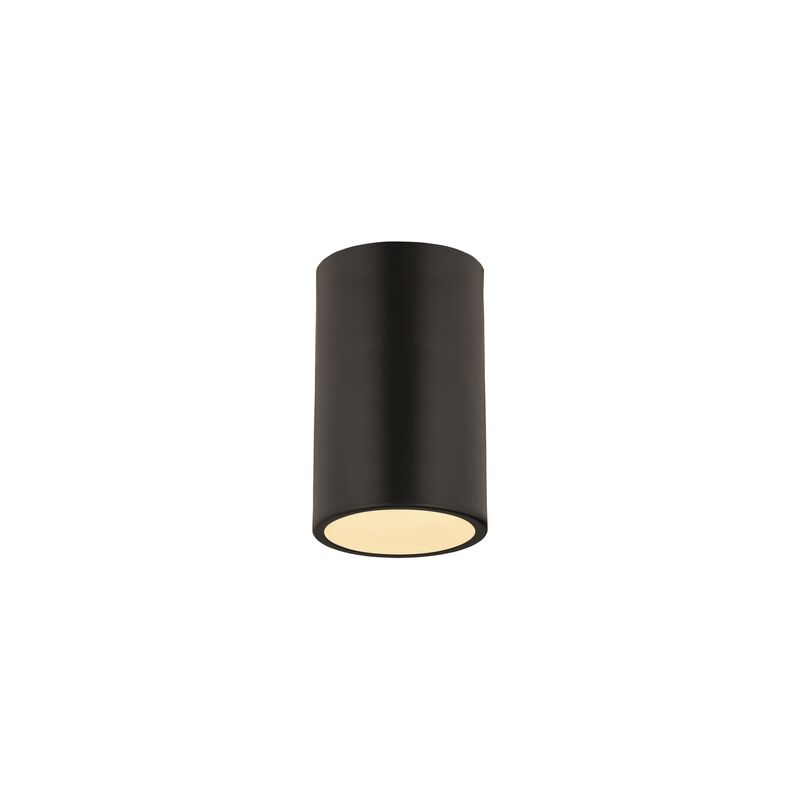 Harley 5 Inch 1 Light Flush Mount by Z-Lite