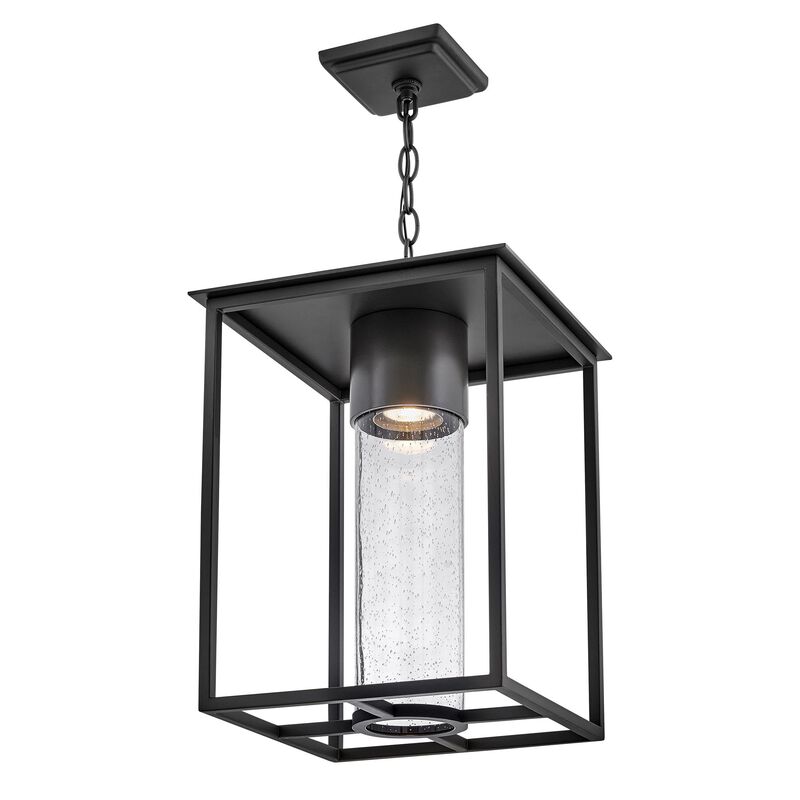 Coen Small Outdoor Hanging Lantern by Hinkley