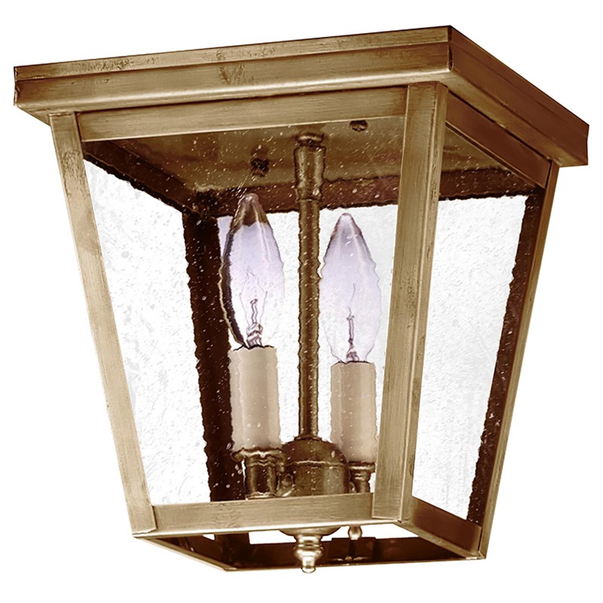 Williams 8 Inch 2 Light Outdoor Flush Mount,