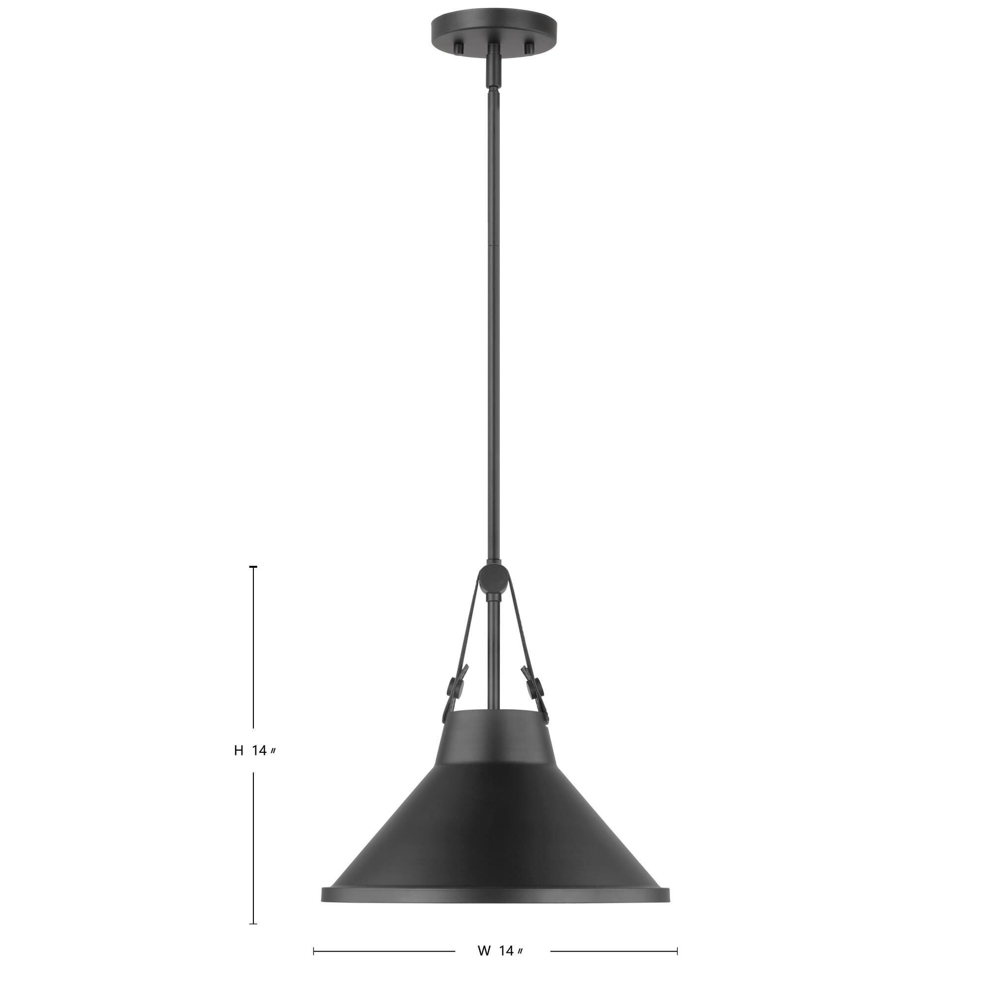 Nuvo Lighting Zelda 14 Inch Large Pendant