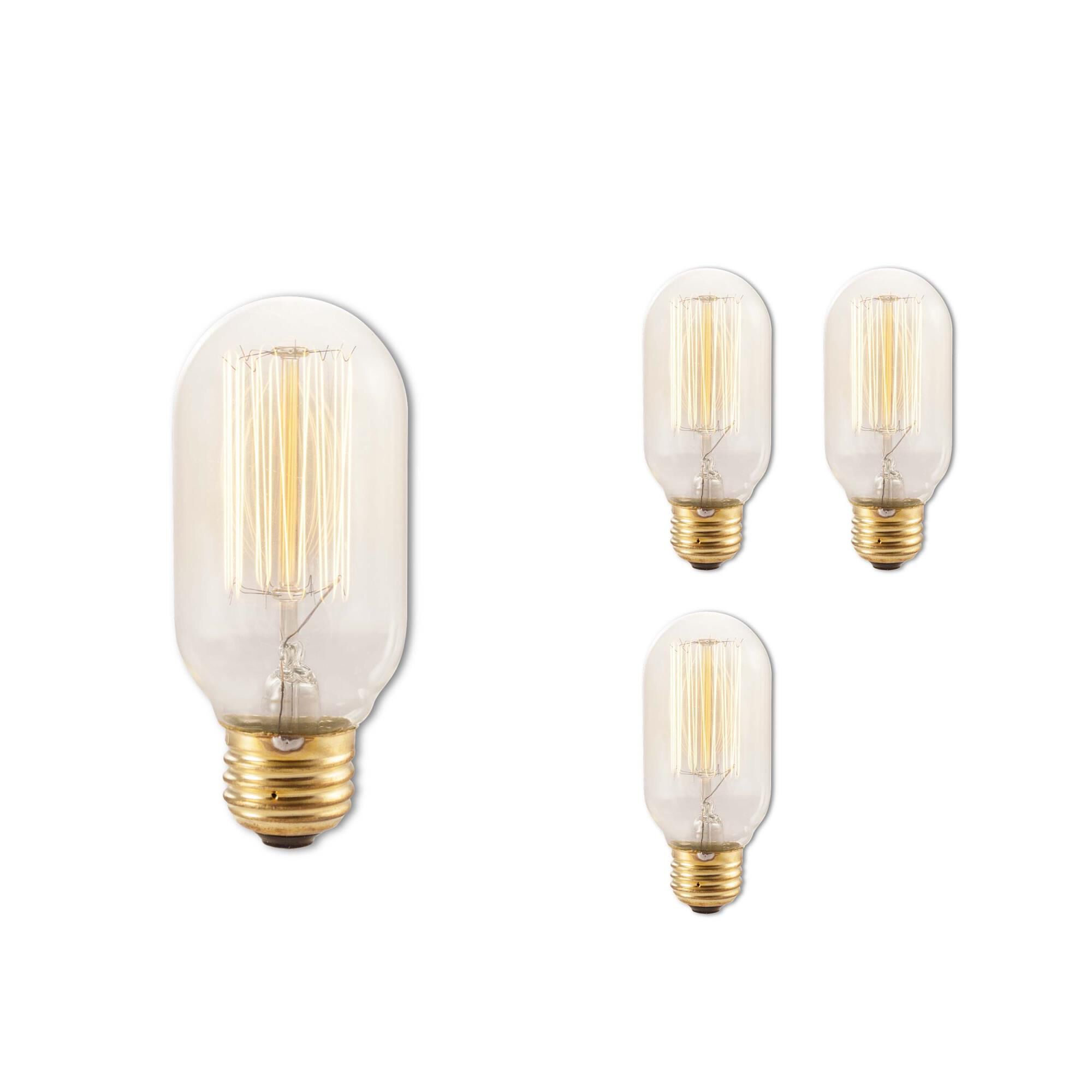 40 Watt 2200K T14 Incandescent Light Bulb,
