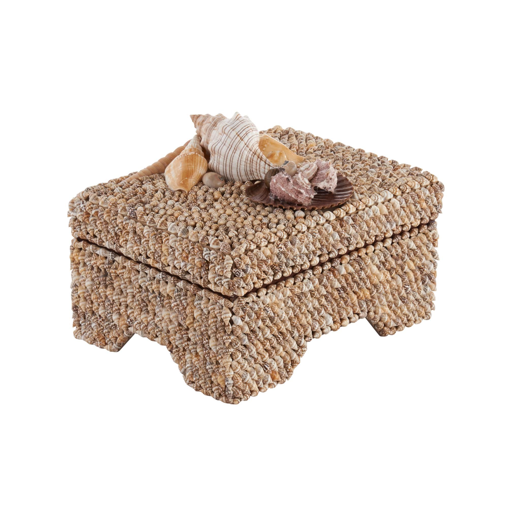Island Shell Accent Box by Chelsea House