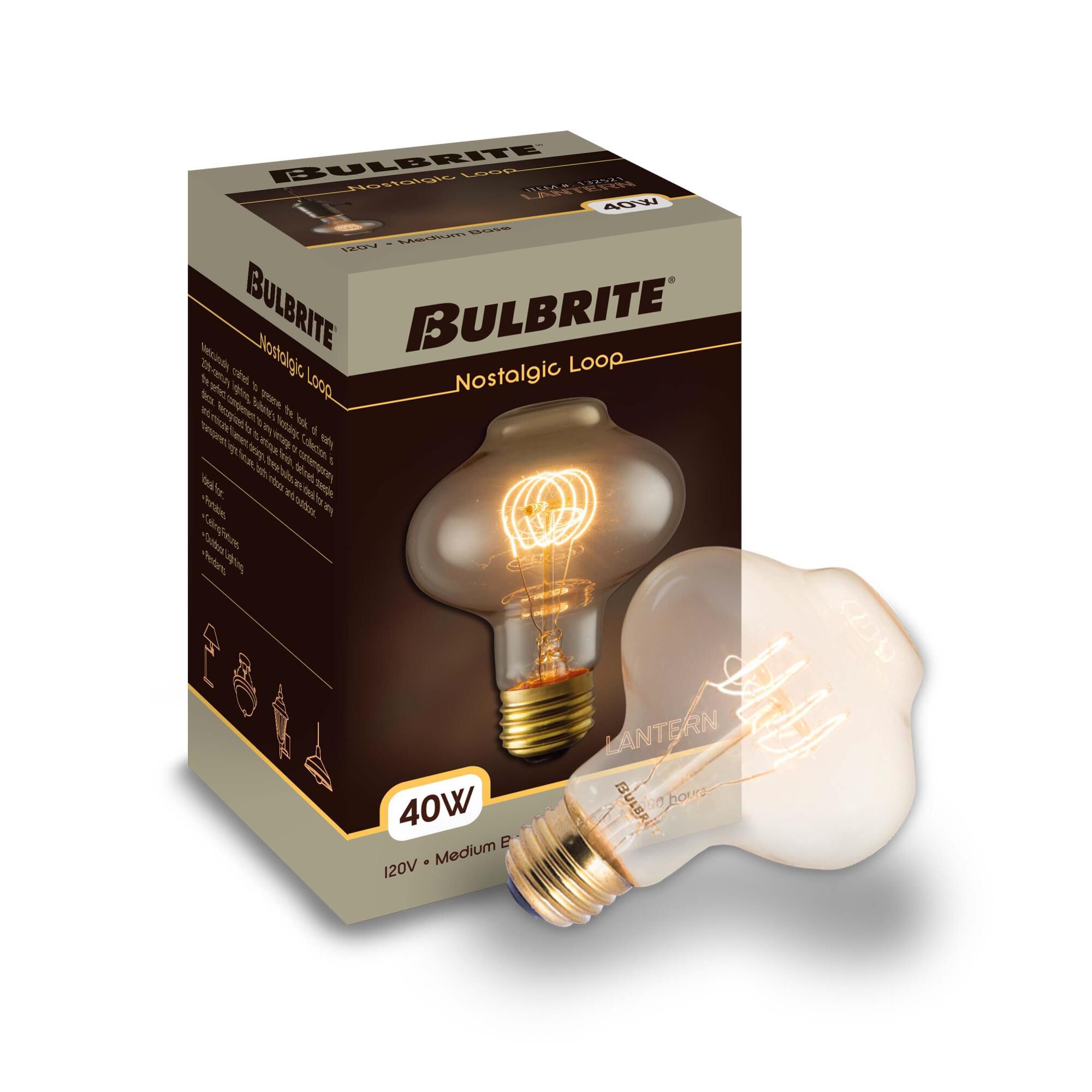 40 Watt 2200K T2 Incandescent Light Bulb,