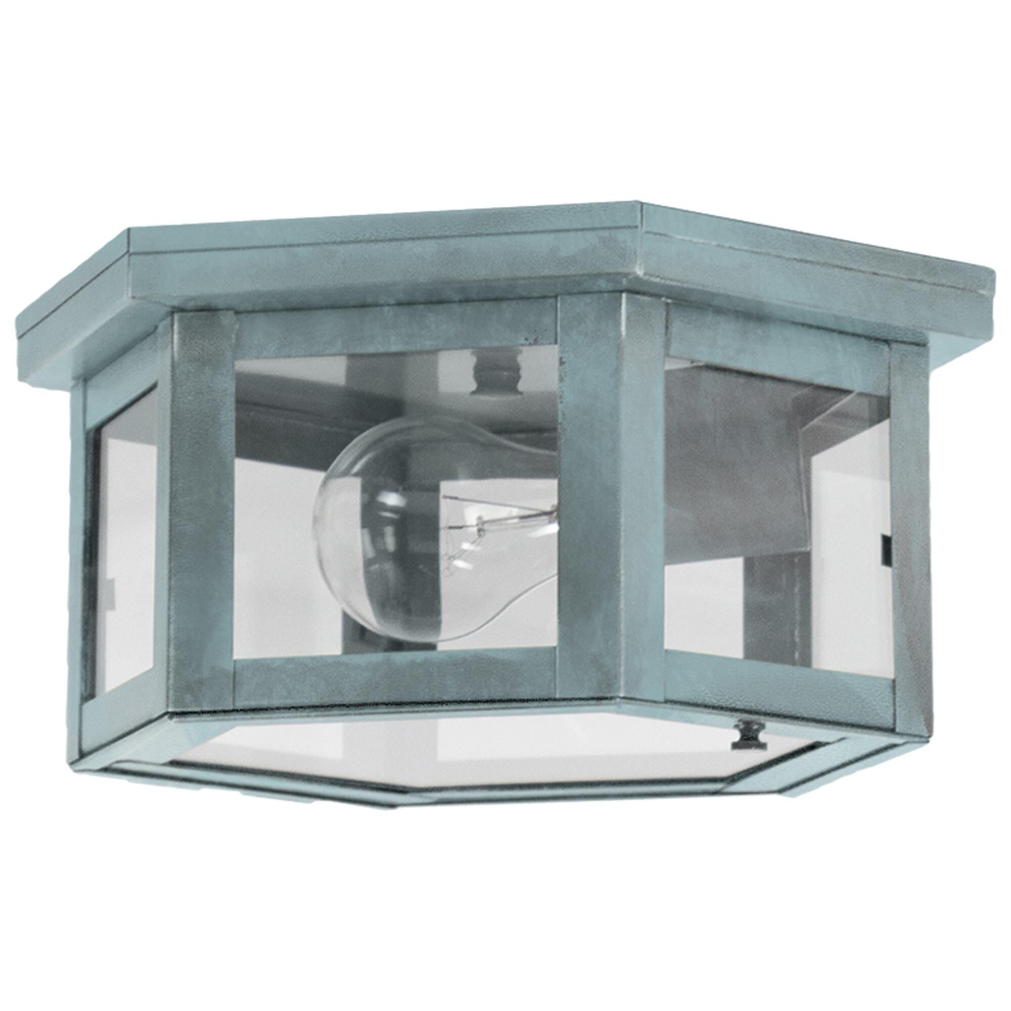 Williams 10 Inch Outdoor Flush Mount,