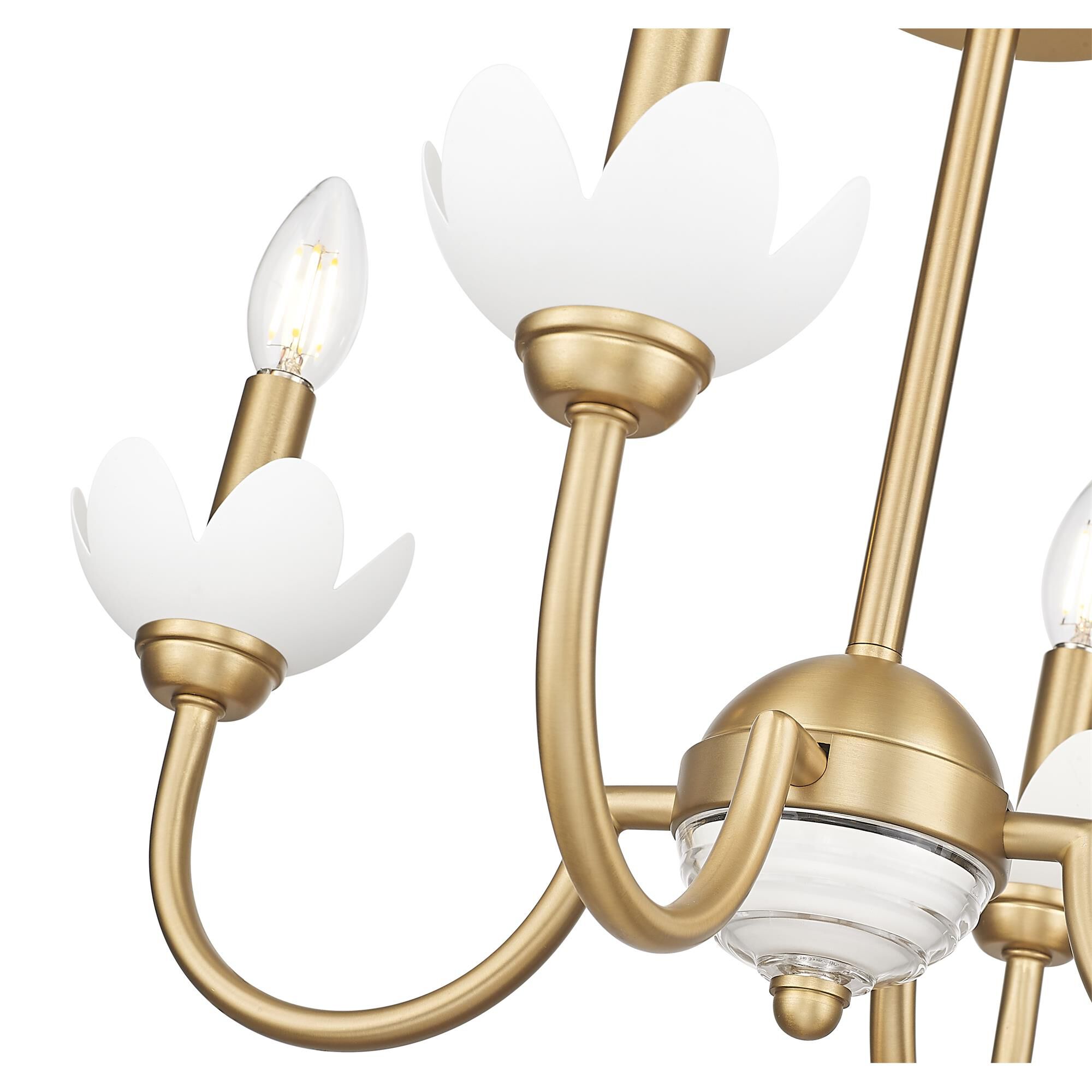 Shown in Modern Gold finish and Clear Ribbed glass and Clear Ribbed shade