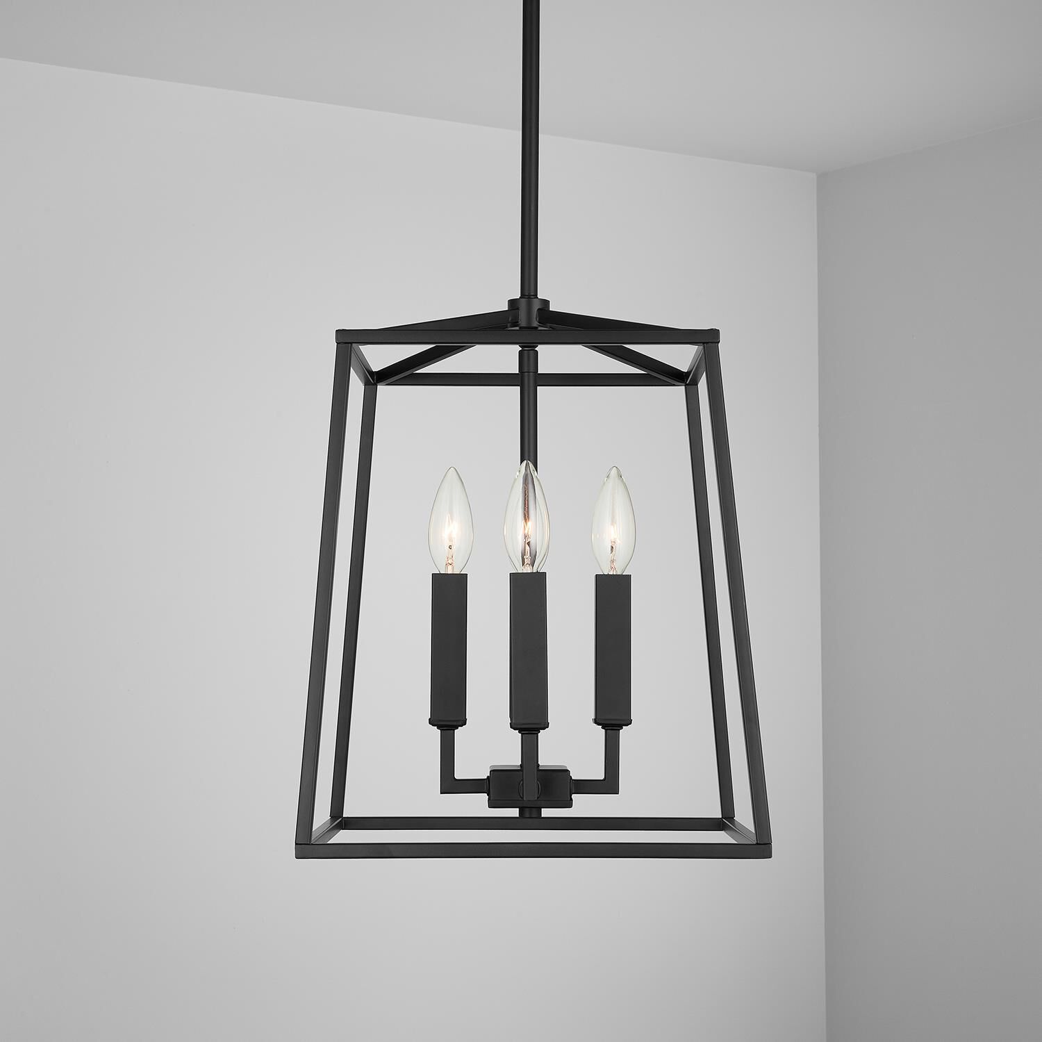 Thea 12 Inch Cage Pendant by Capital Lighting Fixture Company