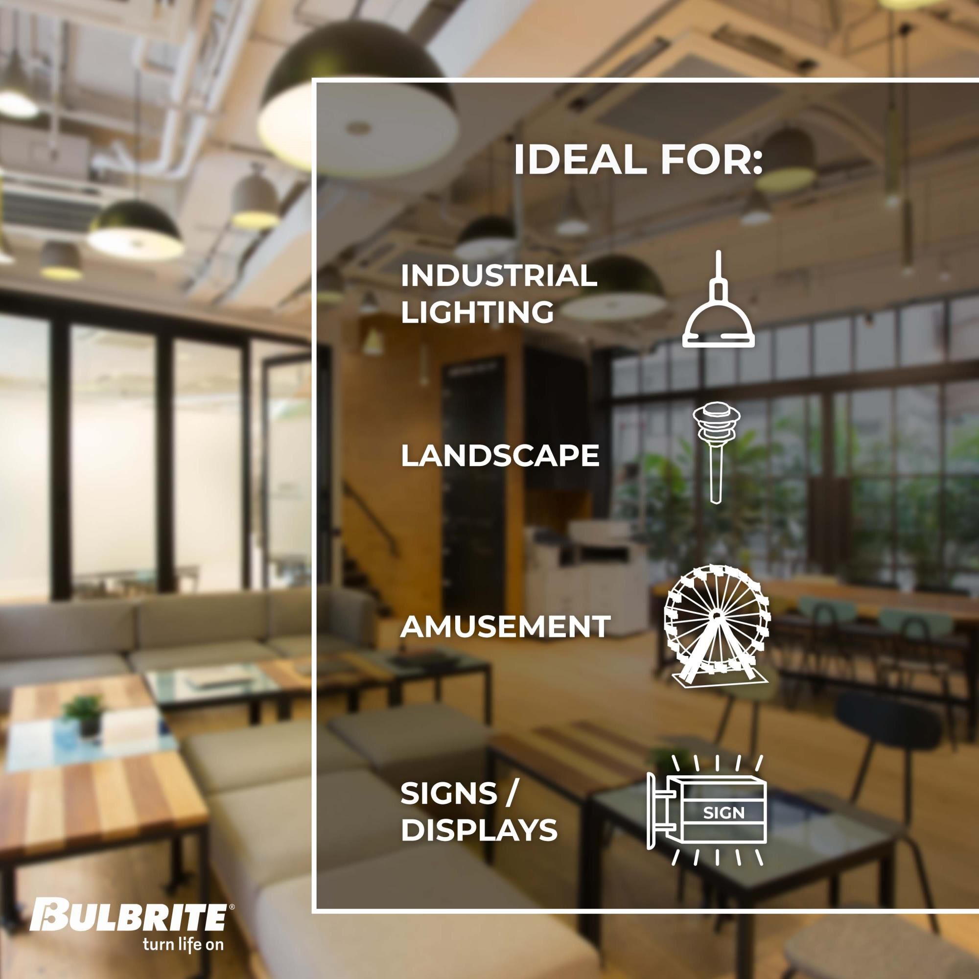 Dimmable 7 Watt 4000K ST18 LED Light Bulb,