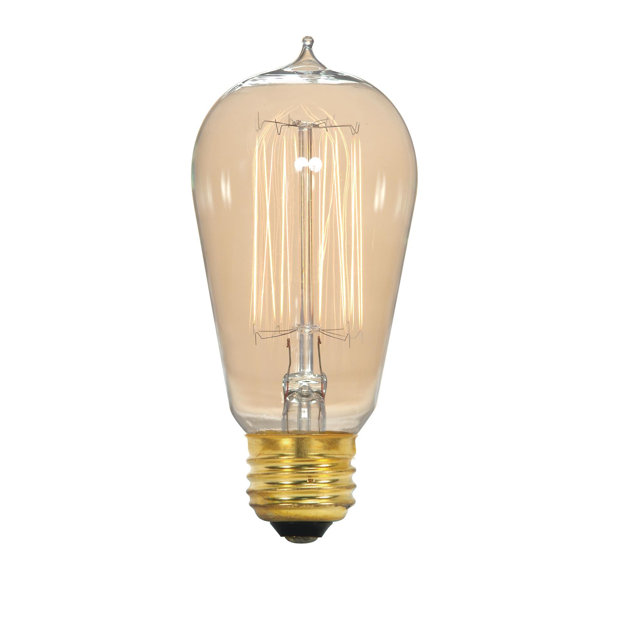 40 Watt Vintage Light Bulb,