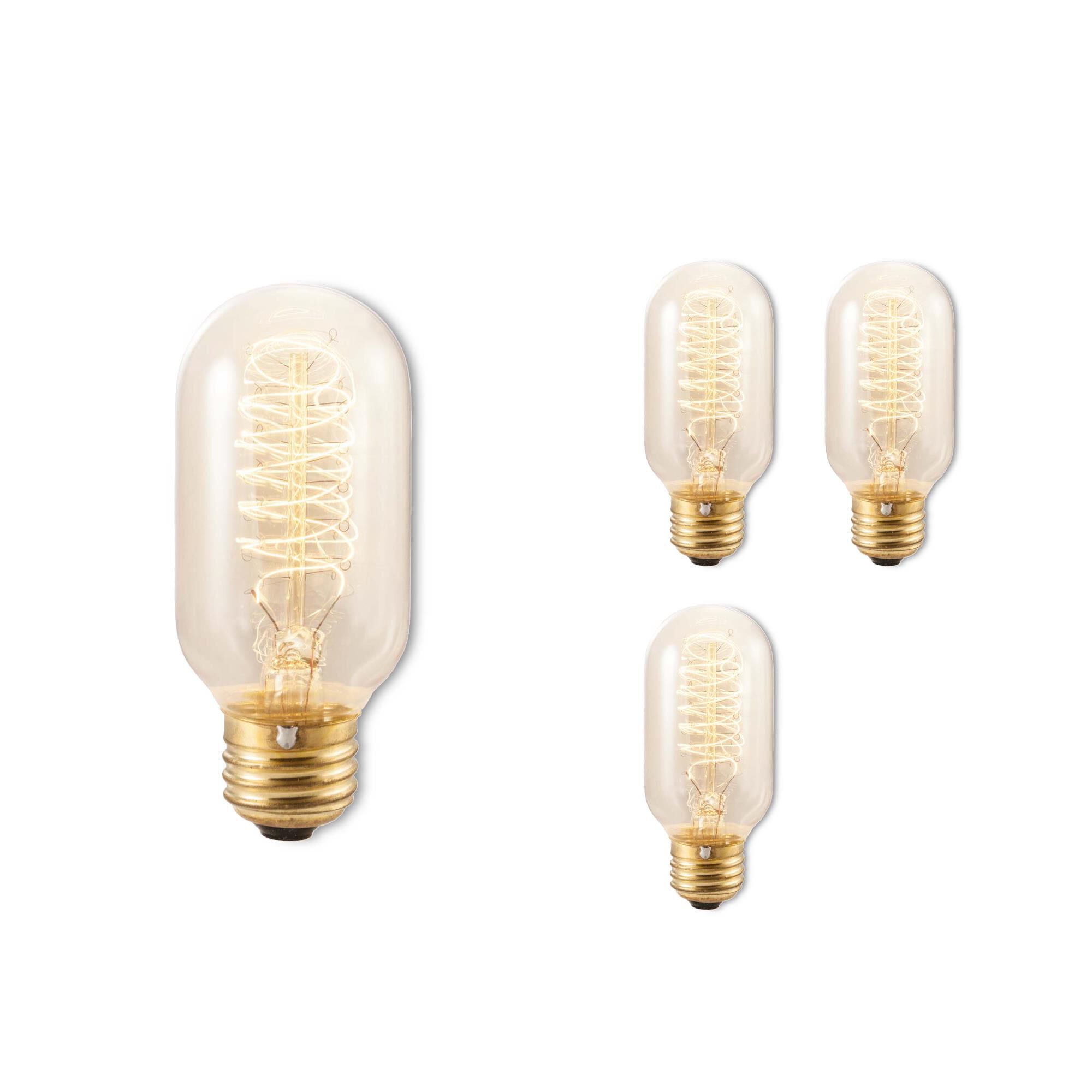40 Watt 2200K T14 Incandescent Light Bulb,