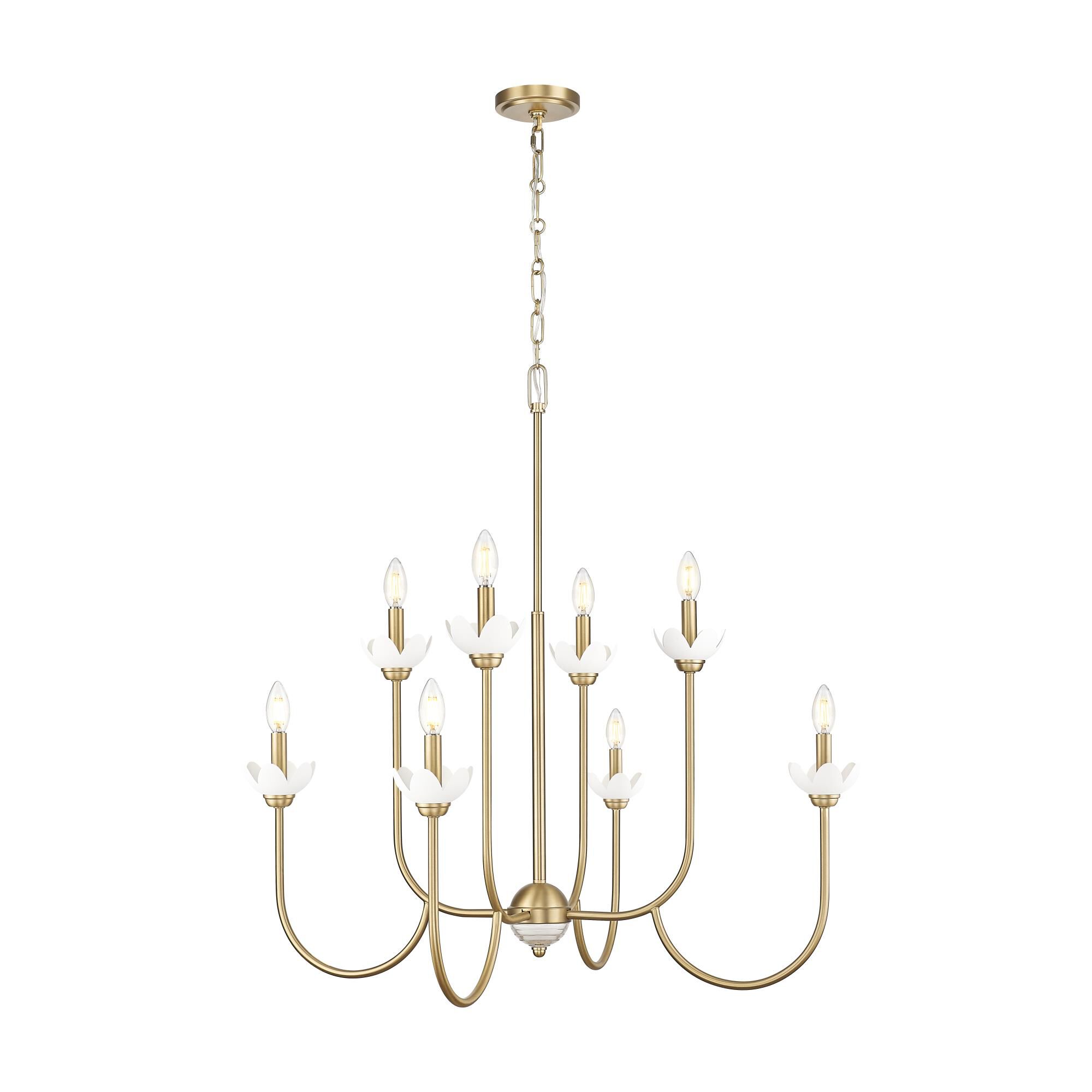 Allistair 36 Inch Chandelier by Z Lite