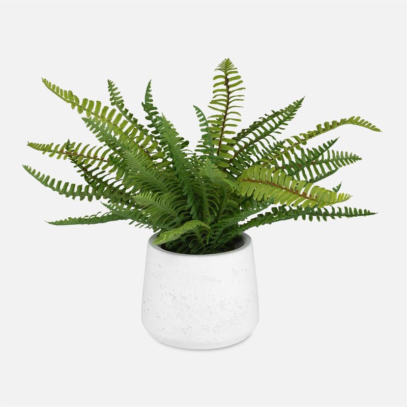Boston Fern Botanical by Uttermost