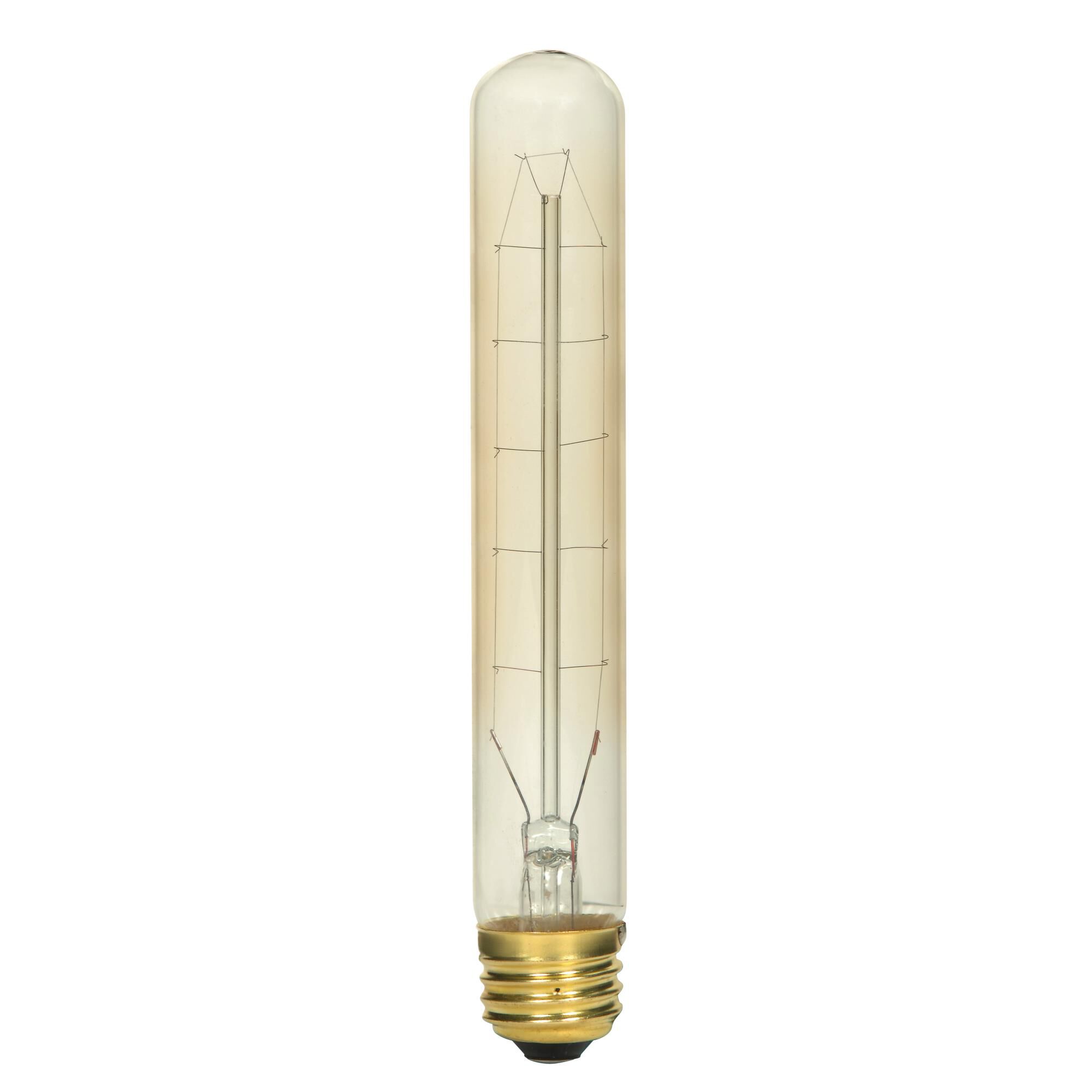 60 Watt 2700K T9 Incandescent Light Bulb by Satco