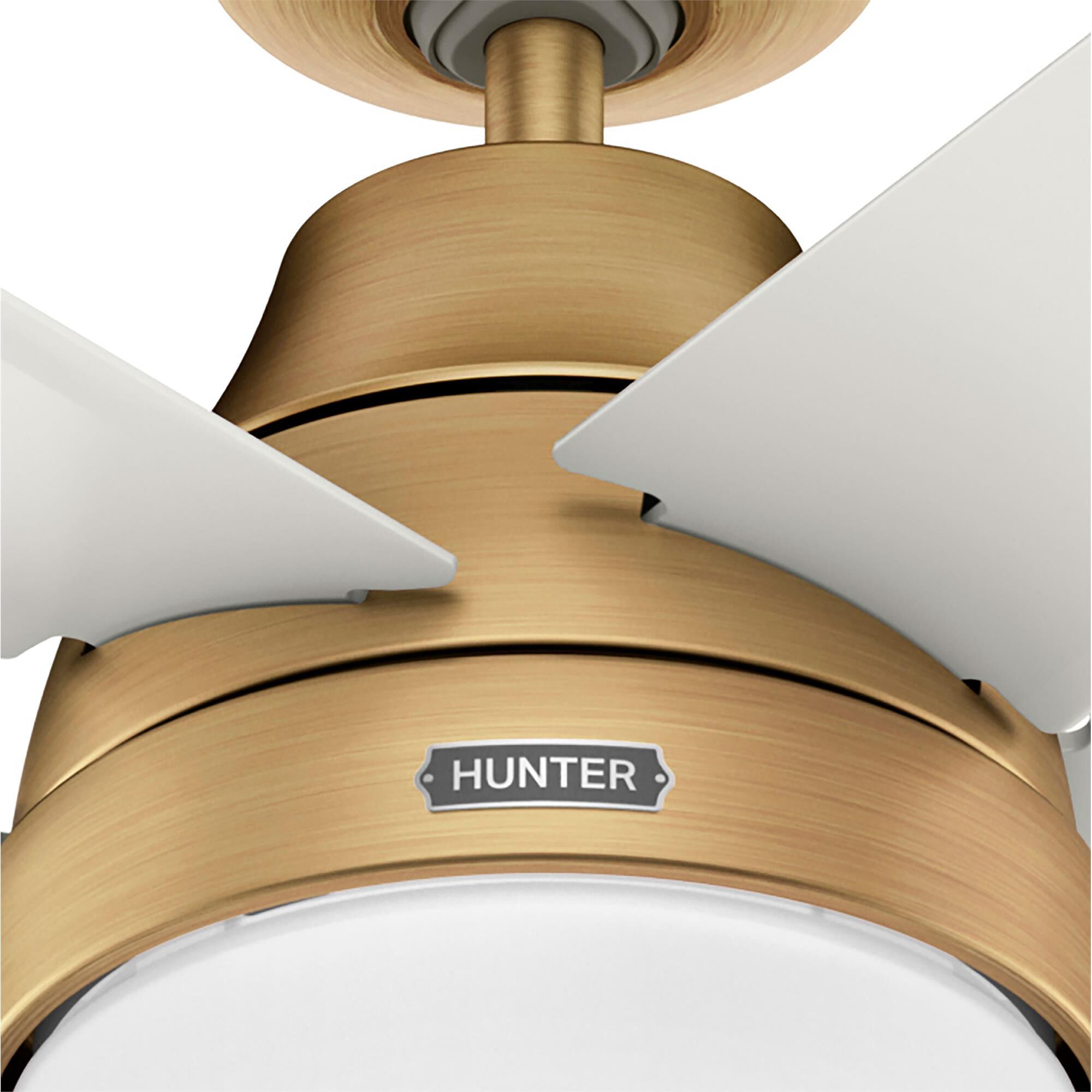 Aerodyne 60 Inch Ceiling Fan with Light Kit,
